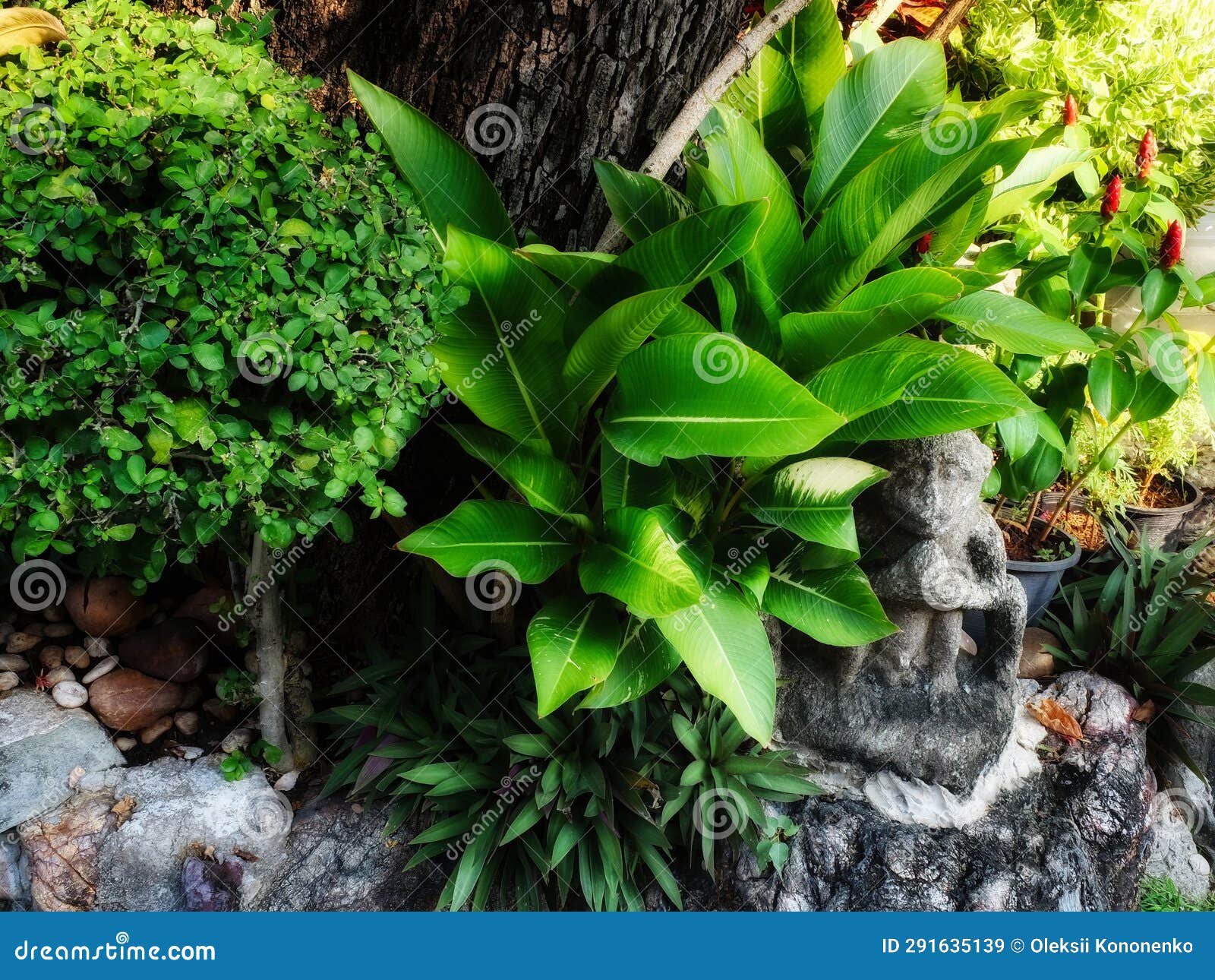 A Garden with a Stone Statue and Various Plants. it Statue Made of