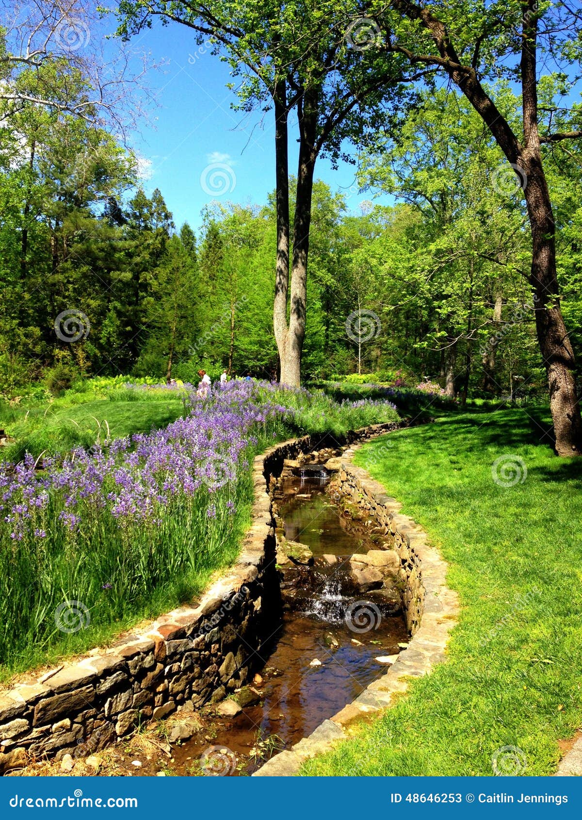 Garden Stream stock image. Image of chanticleer, garden 48646253