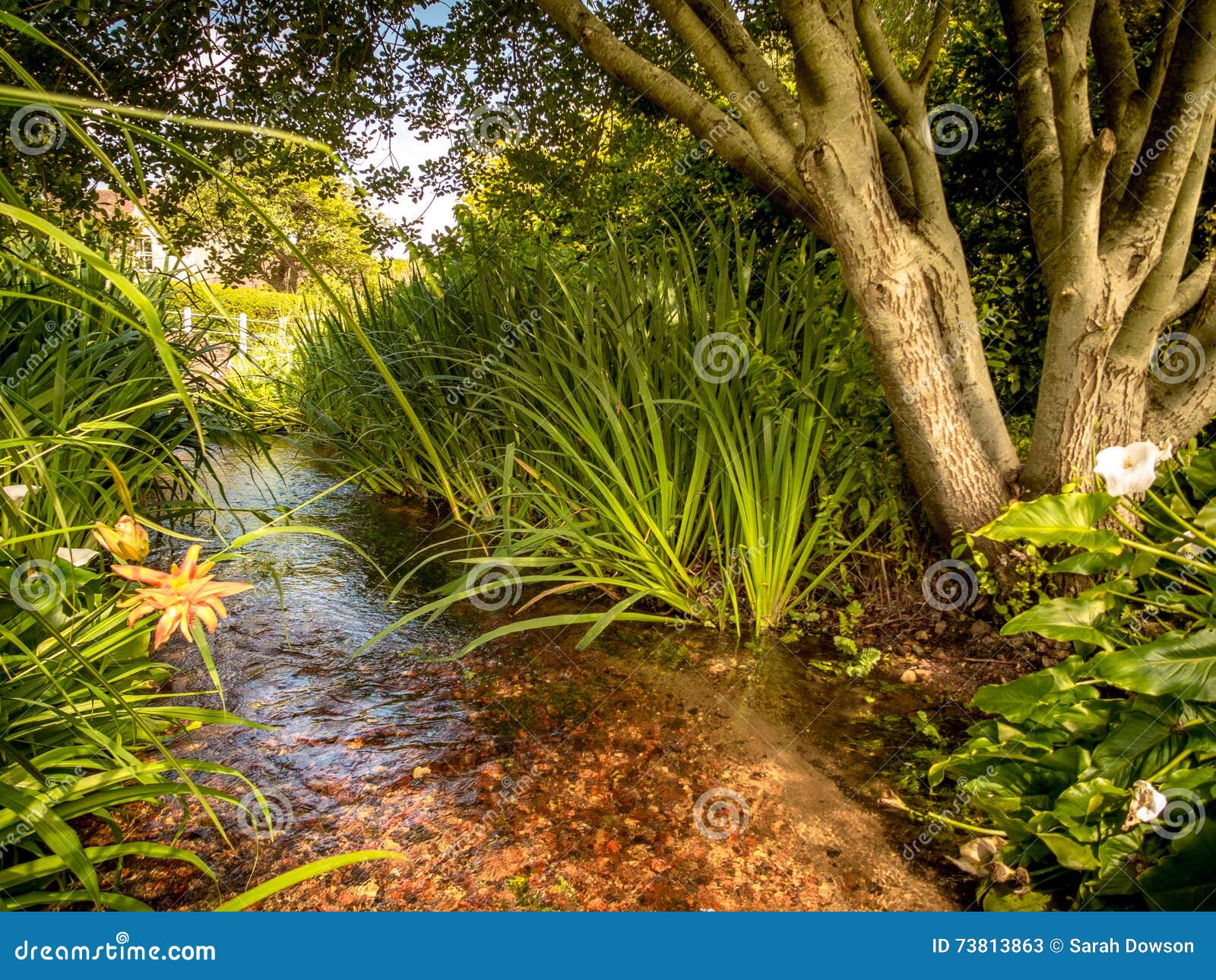 Garden Stream stock image. Image of pretty, countryside - 73813863