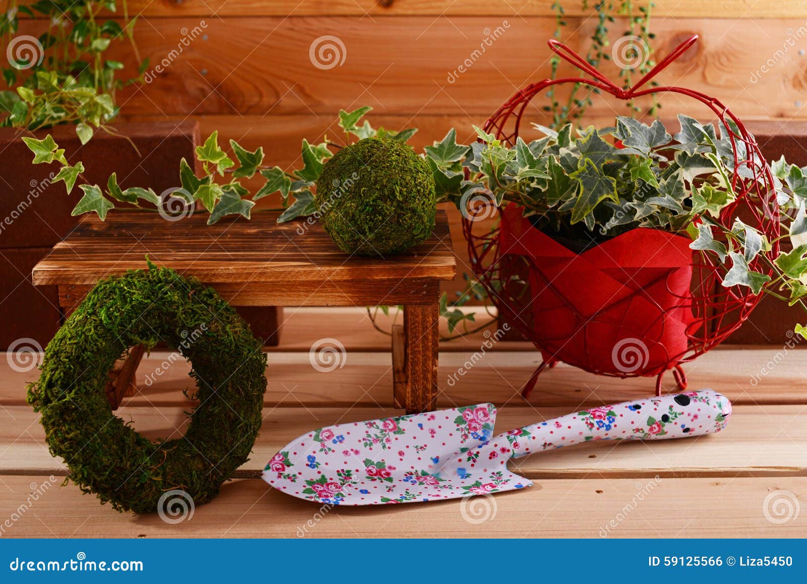Garden supplies stock photo. Image of life, green, leaf 59125566
