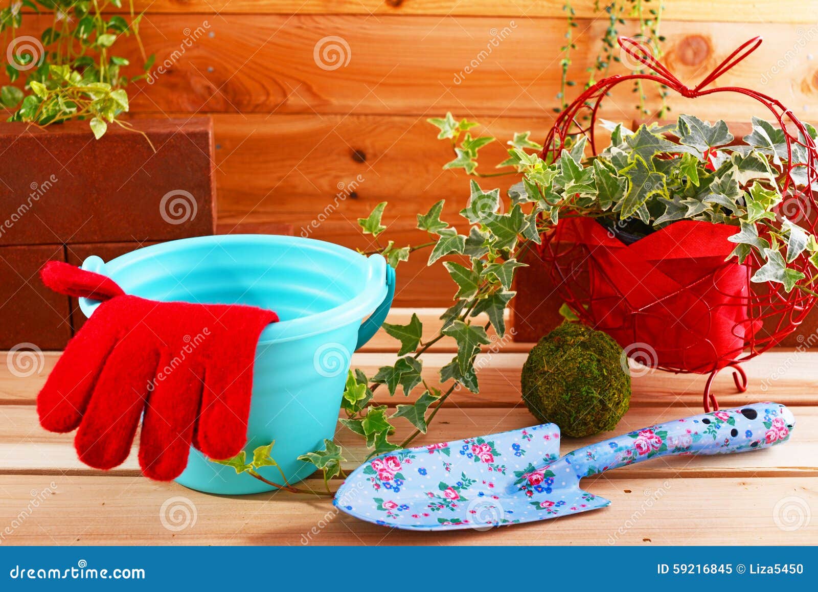 Garden supplies stock image. Image of interior, flower 59216845
