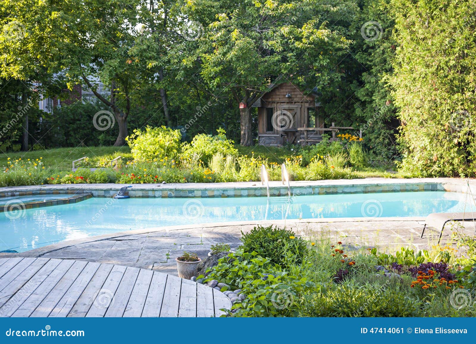 Garden And Swimming Pool In Backyard Stock Photo - Image ...