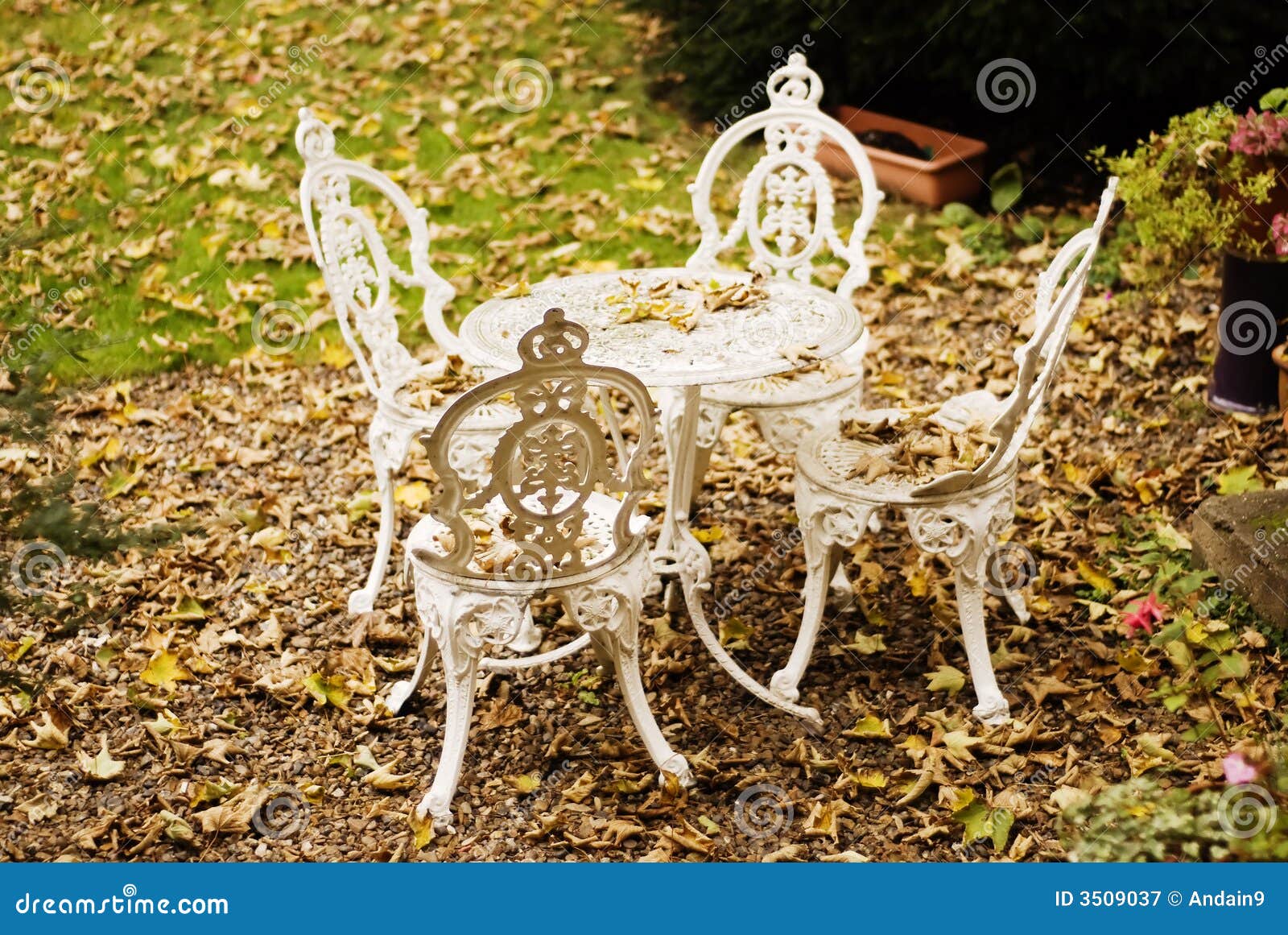 Garden Table And Chairs Stock Image Image Of Garden Leaves 3509037