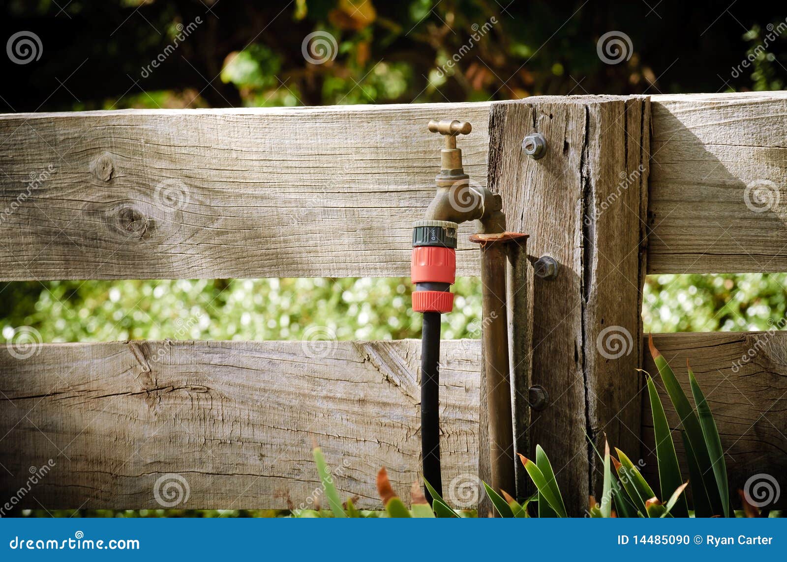 Garden Tap stock photo. Image of nature, irrigate, dingy 14485090