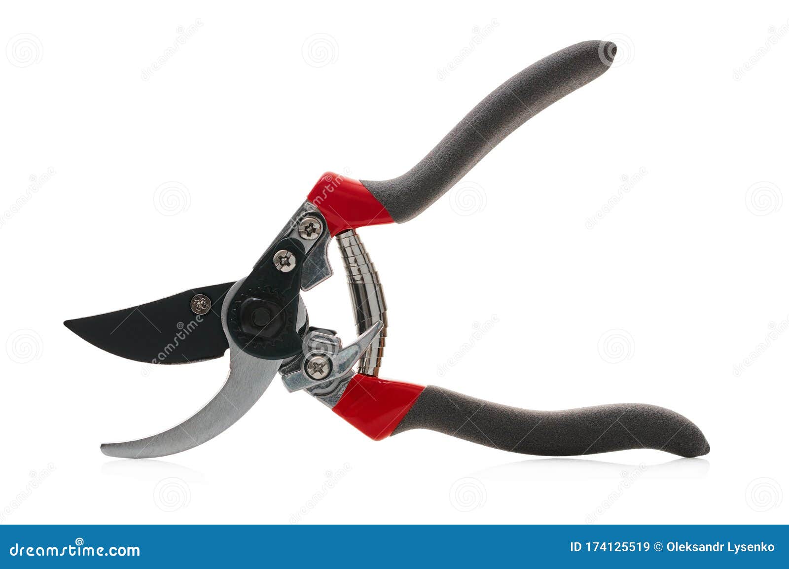 Garden Tool Secateur with Clipping Path Stock Image Image of scissor, handle 174125519