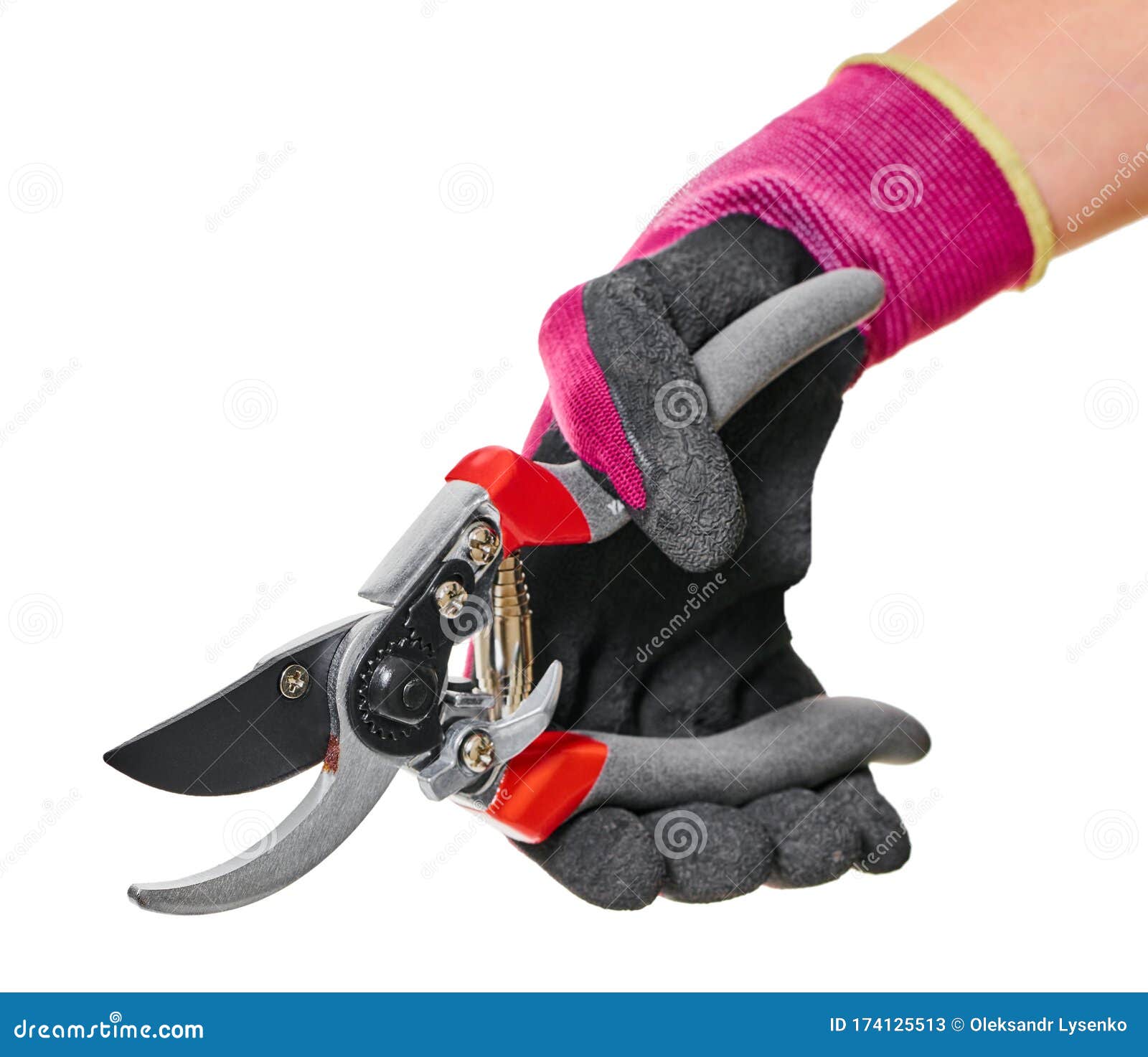 Garden Tool Secateurs in Hand Stock Image Image of gardening