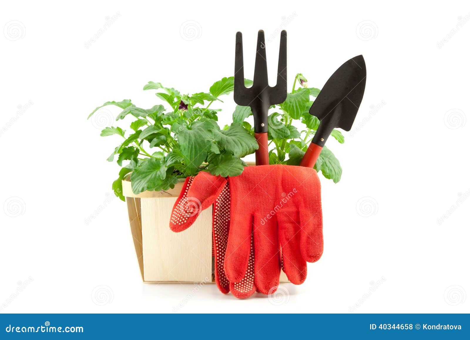 Garden Tools with Plants on White Background Stock Photo Image of