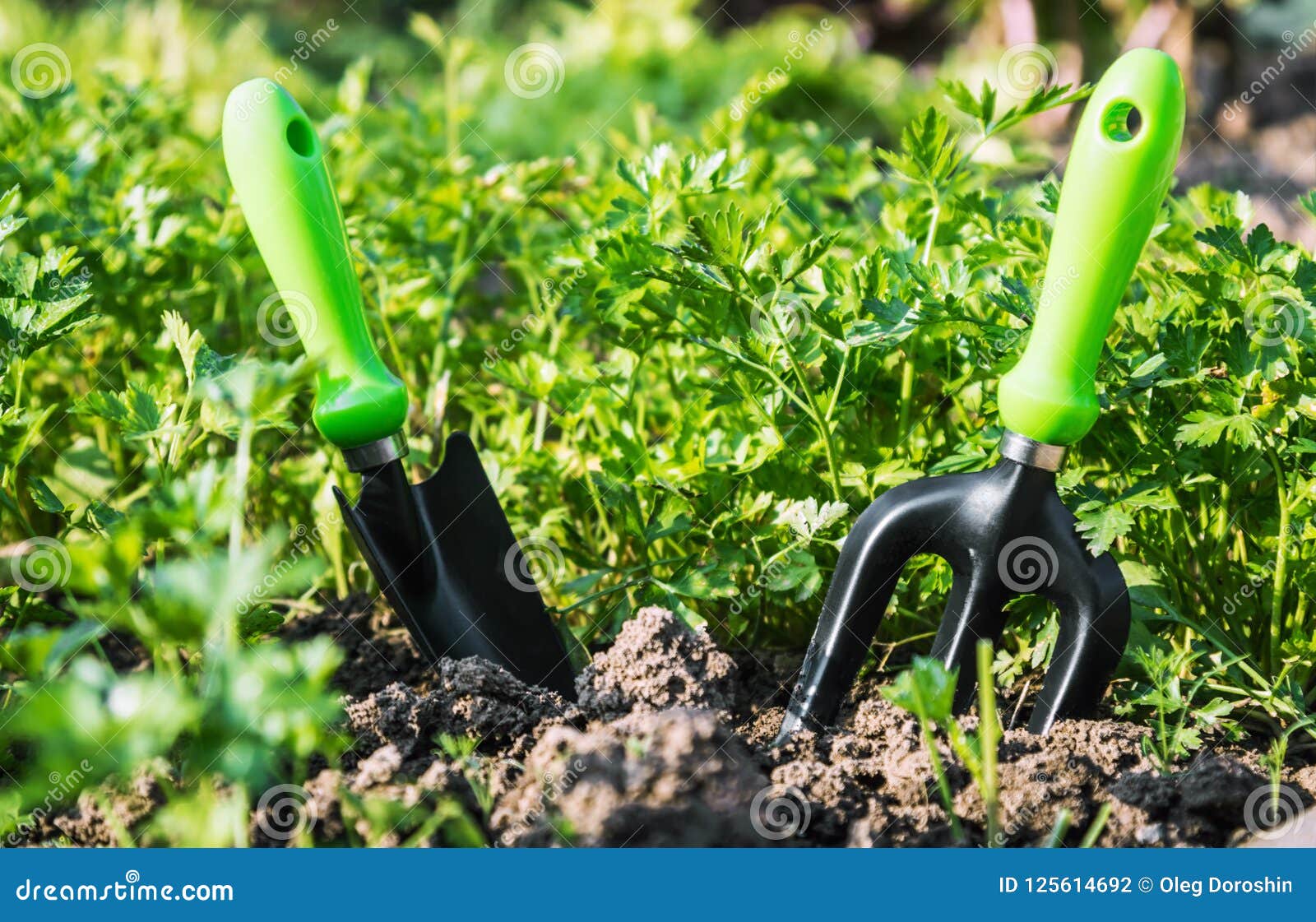 Garden Tools Stuck into the Ground To Work Stock Photo - Image of ...