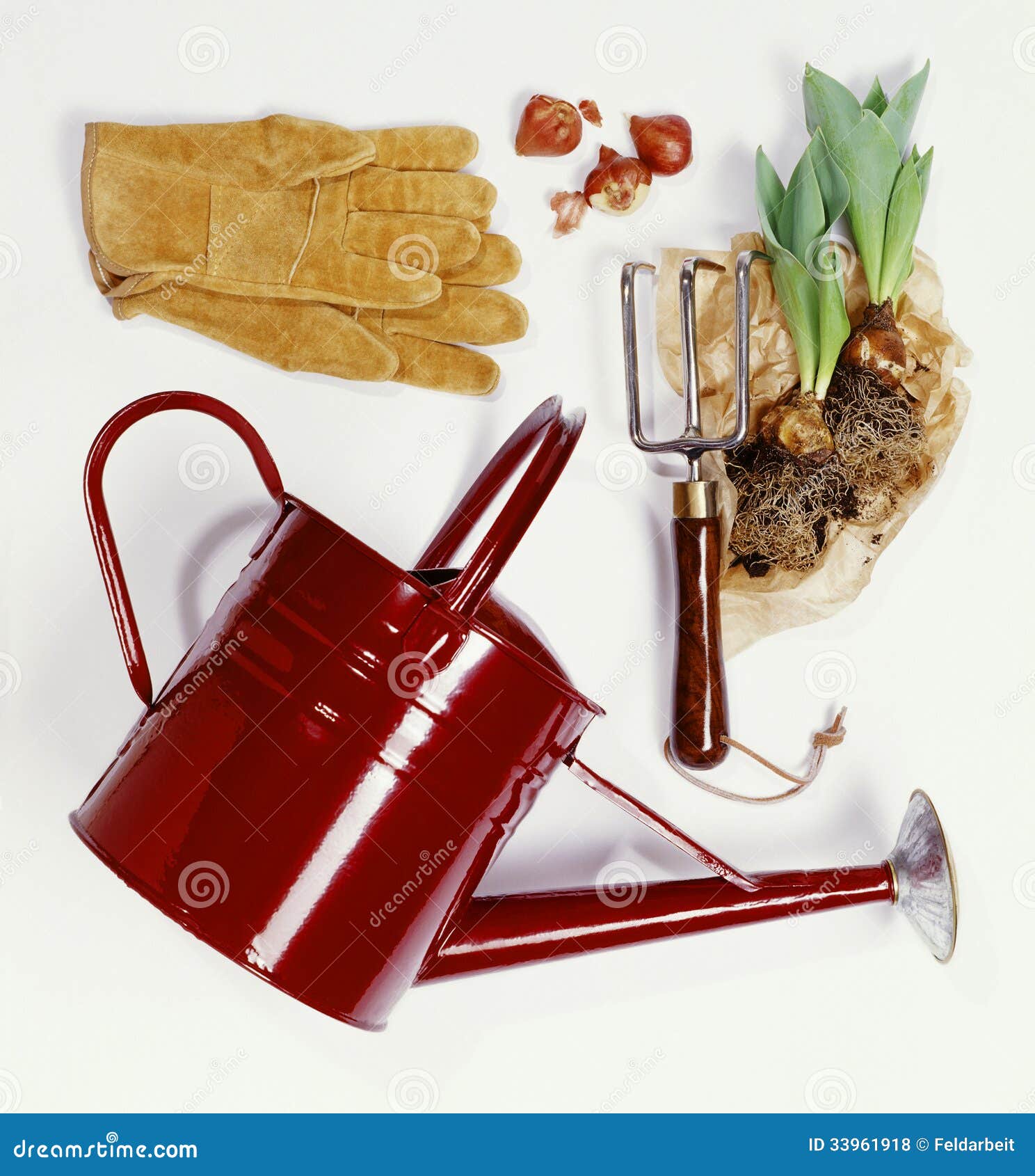 Garden tools stock photo. Image of tulip, gardener, leaf 33961918
