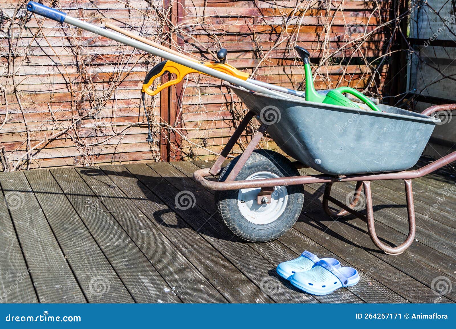 Garden Tools in a Wheelbarrow 03 Stock Image Image of springtime