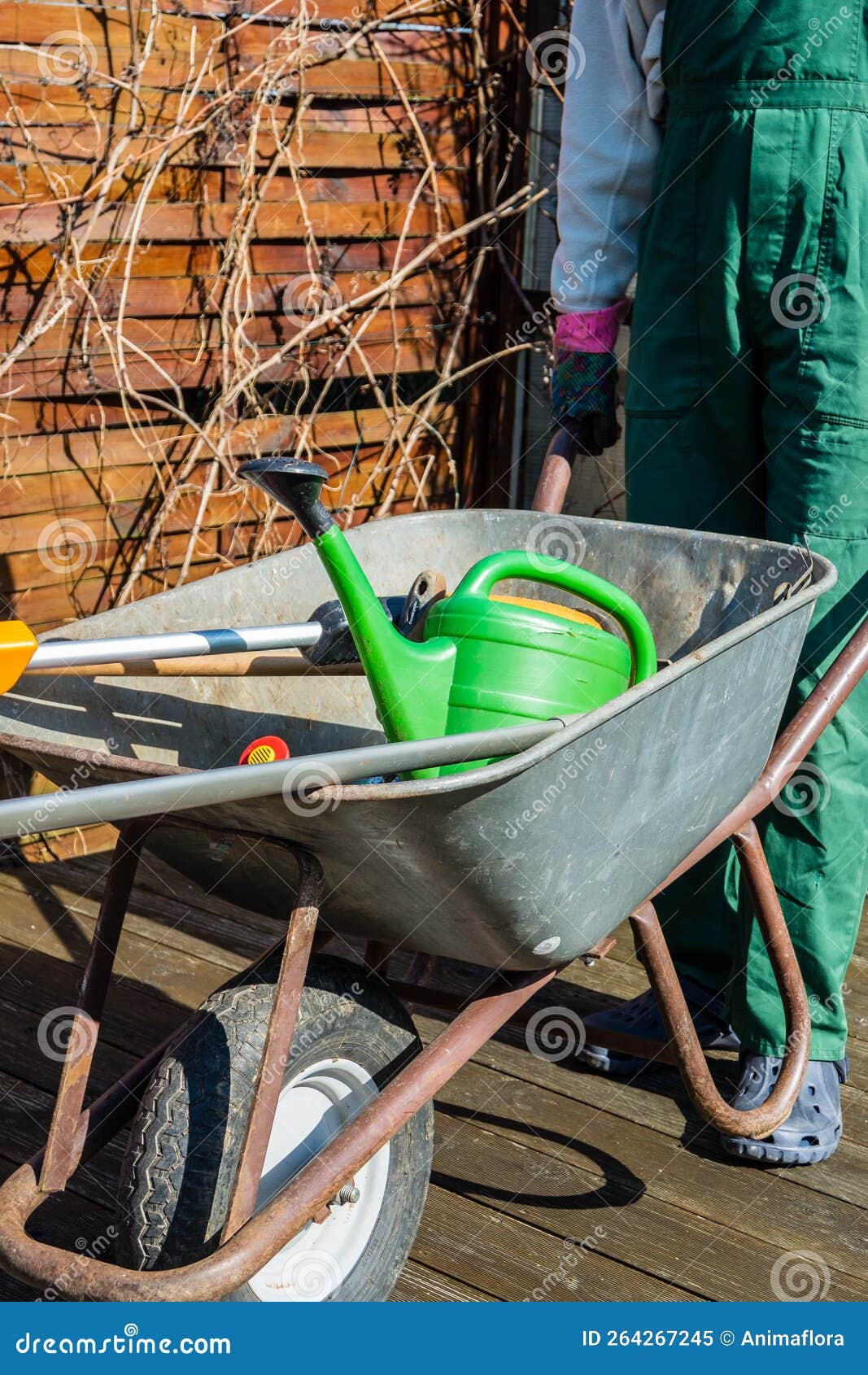Garden Tools in a Wheelbarrow 09 Stock Image Image of planting