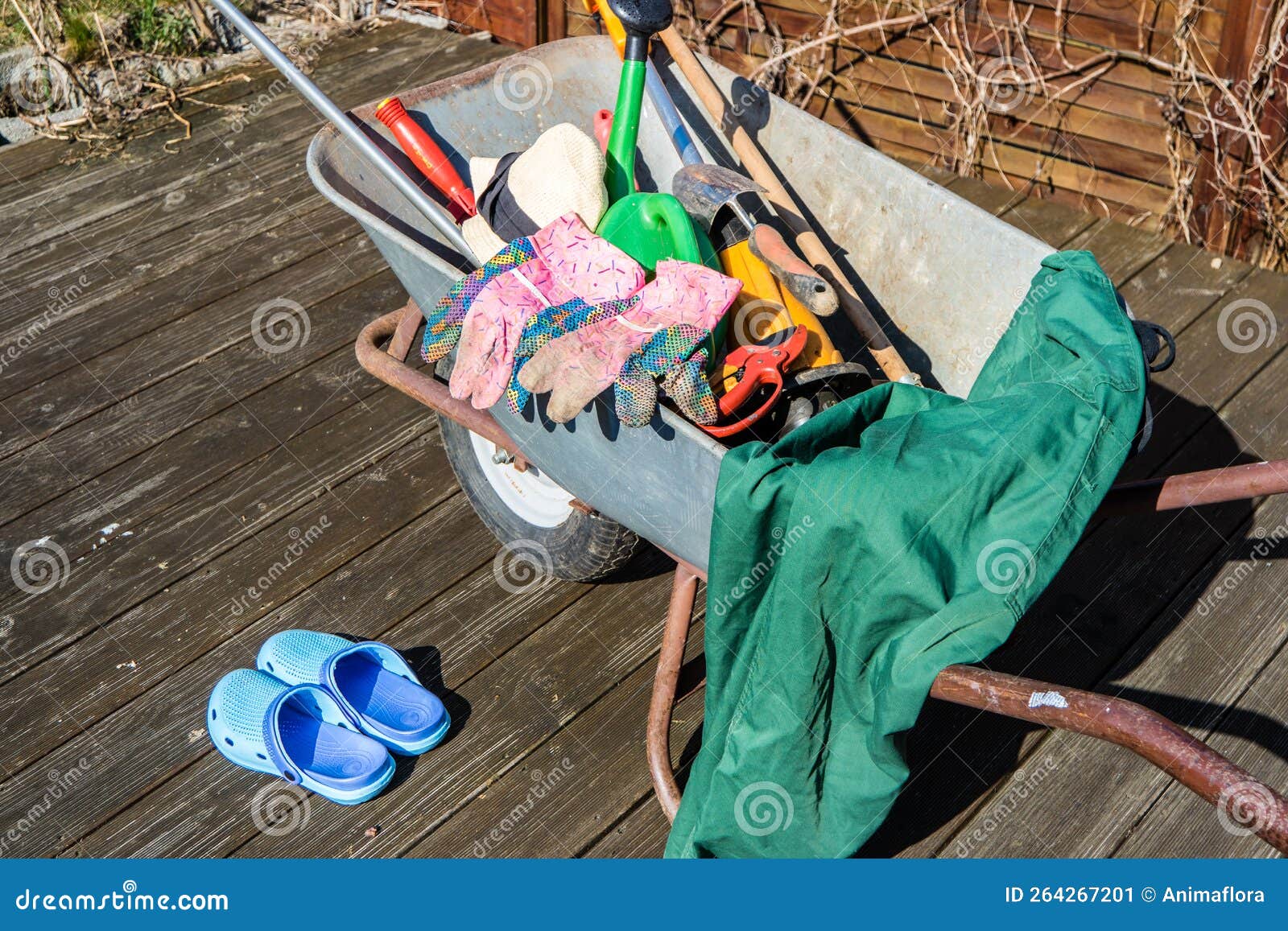 Garden Tools in a Wheelbarrow 05 Stock Image Image of gardening, rake 264267201