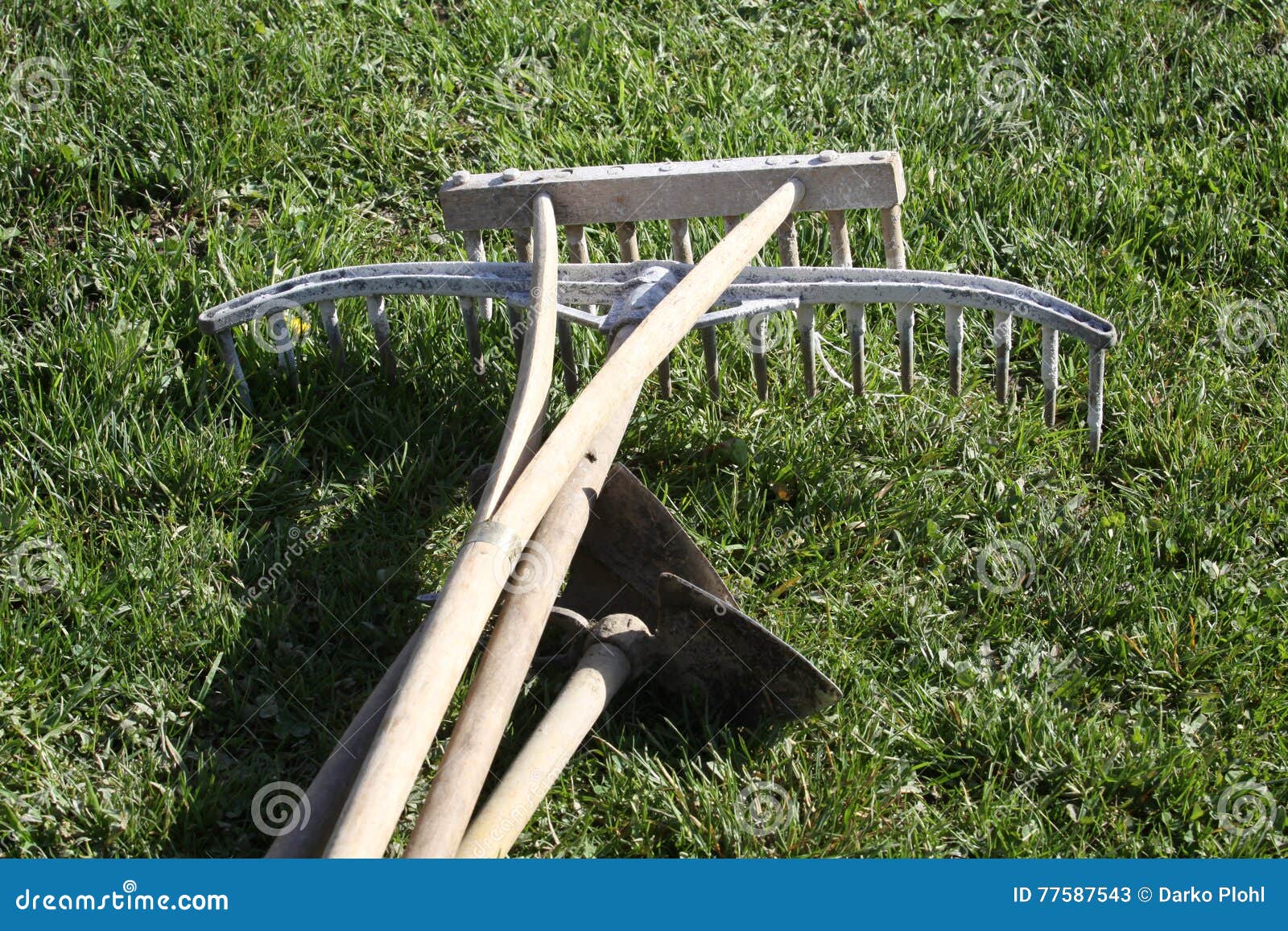 Garden tools in wood stock image. Image of wood, lawn - 77587543