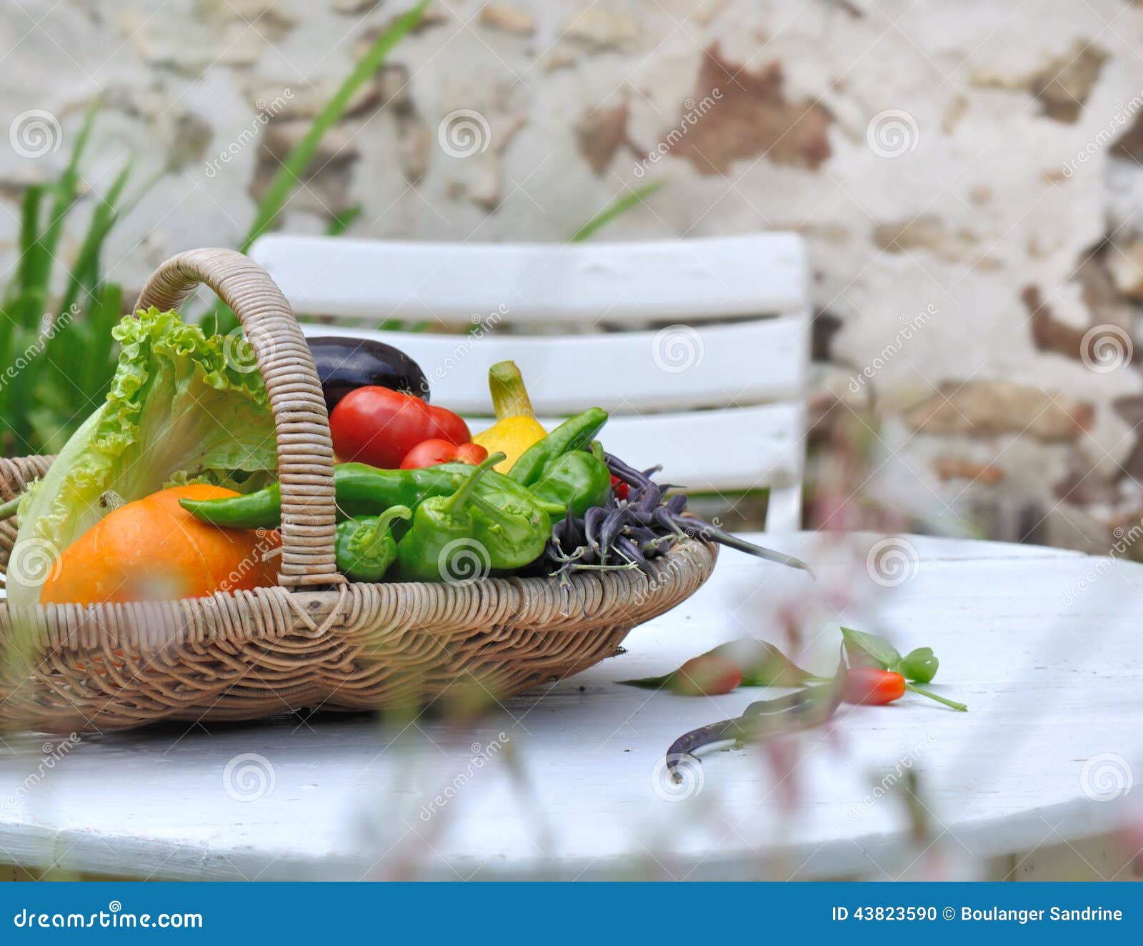 Garden vegetables basket stock photo. Image of harvested 43823590