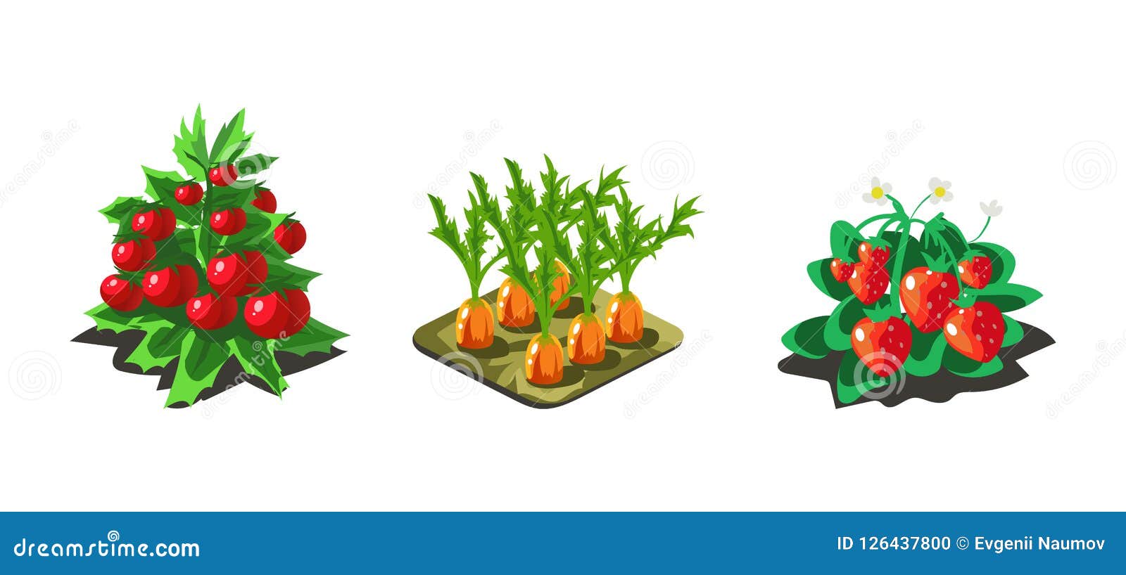 Garden Vegetables and Berries, Carrot, Tomato, Strawberry, Game User  Interface Nature Elements for Video Computer Games Stock Vector -  Illustration of interface, application: 126437800