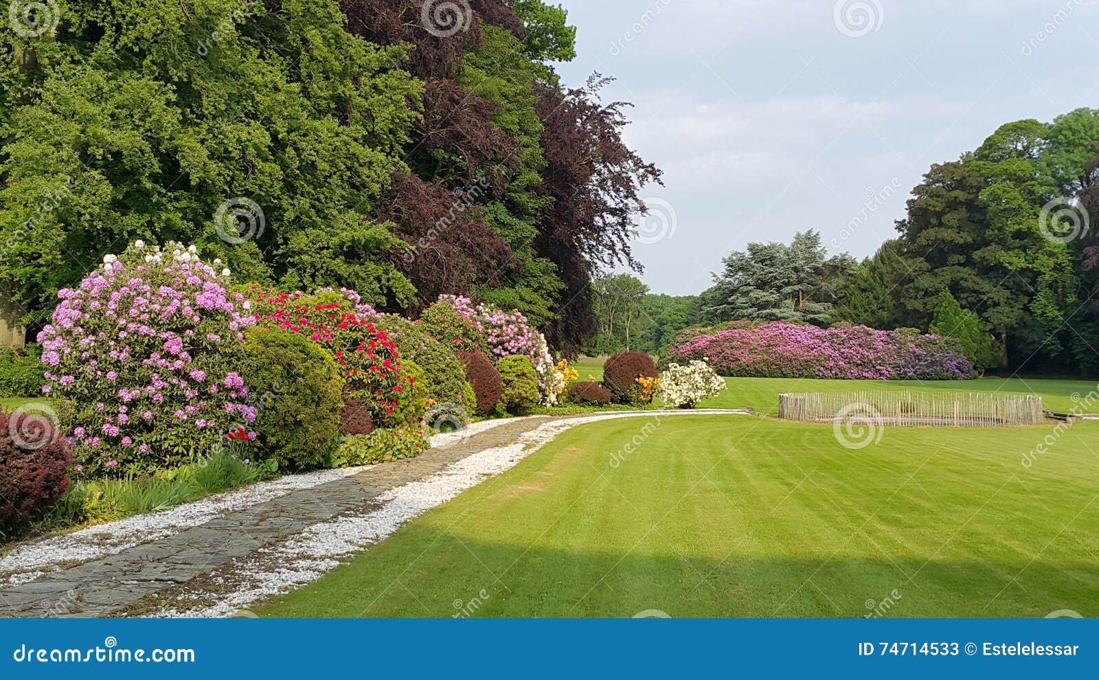 Garden View stock image. Image of flower, green, fresh - 74714533