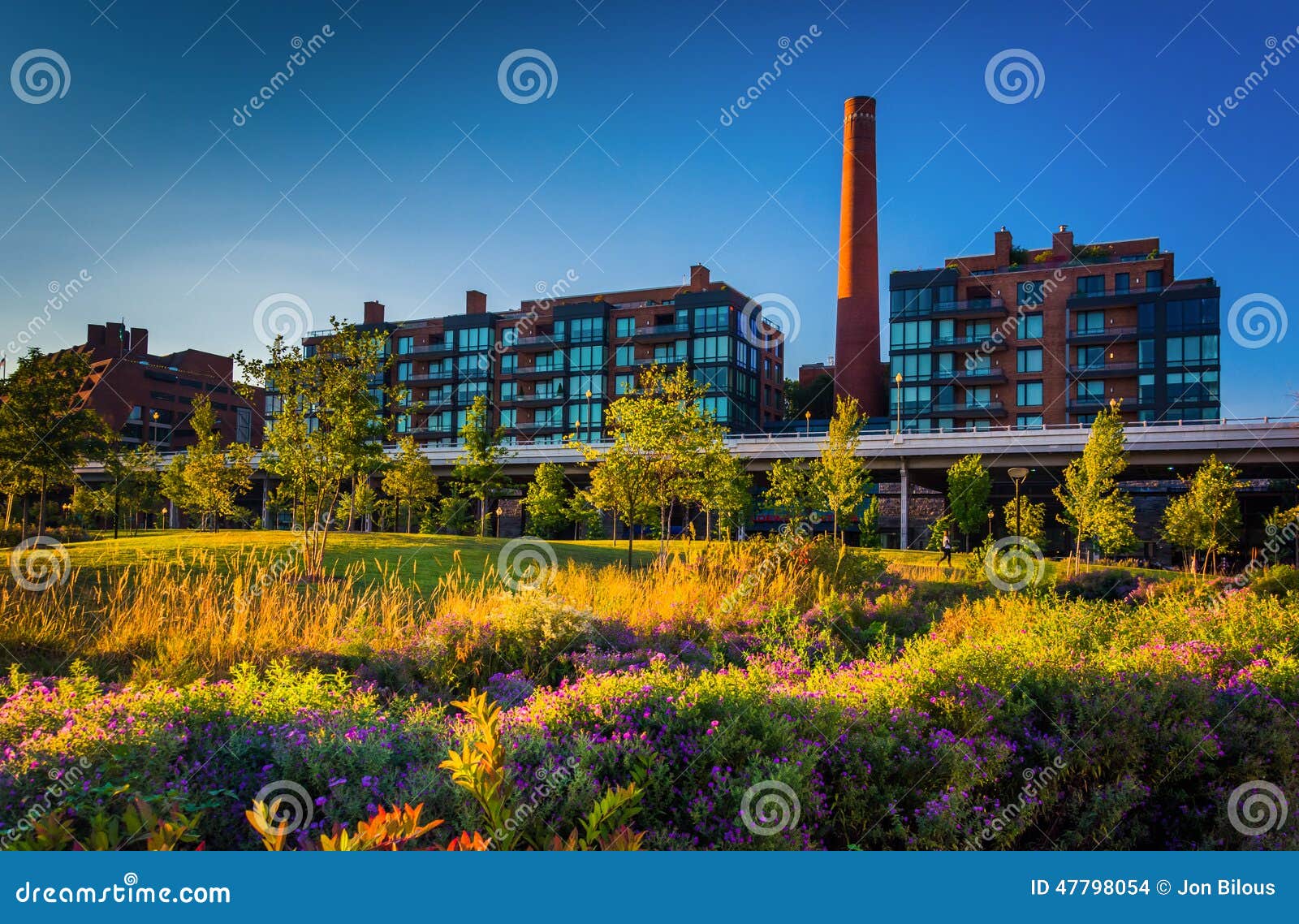 garden and view of the smokestack in georgetown, washington, dc.