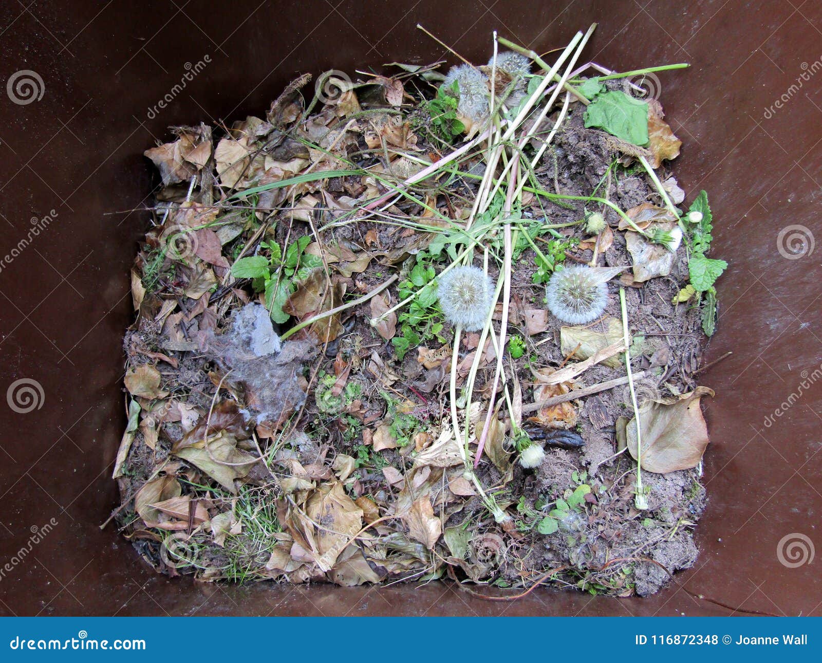Garden Waste in a Brown Bin. Stock Photo Image of collected, garden