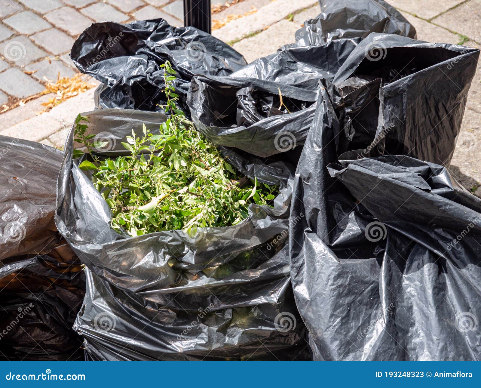 Garden Waste in Rubbish Bags Stock Image Image of area, white 193248323