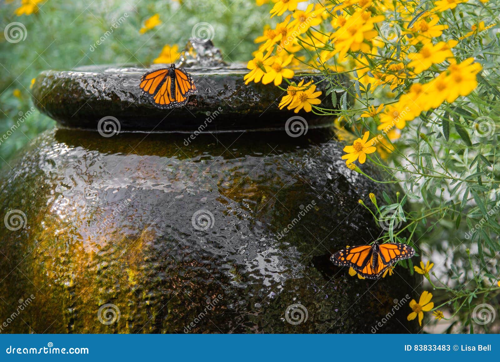 Garden Water Feature stock image. Image of garden, butterflies 83833483