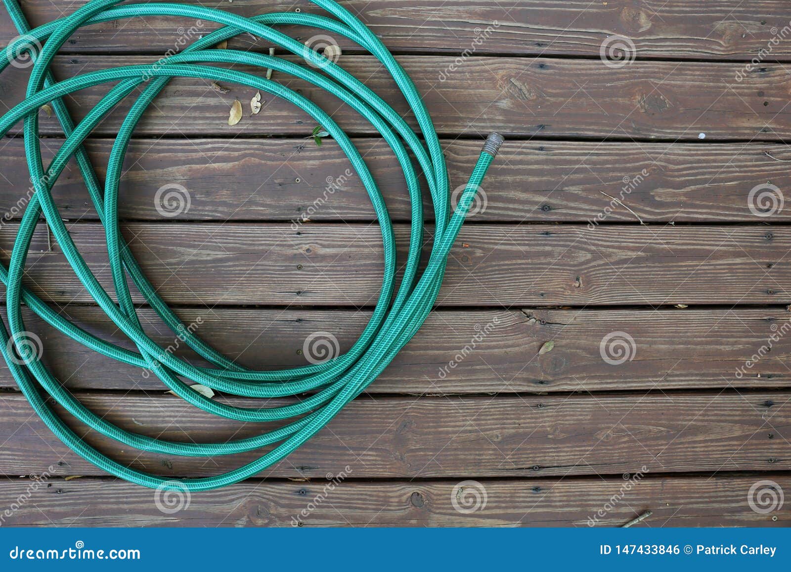 Garden Water Hose Coiled Up On Old Wood Deck Stock Photo Image