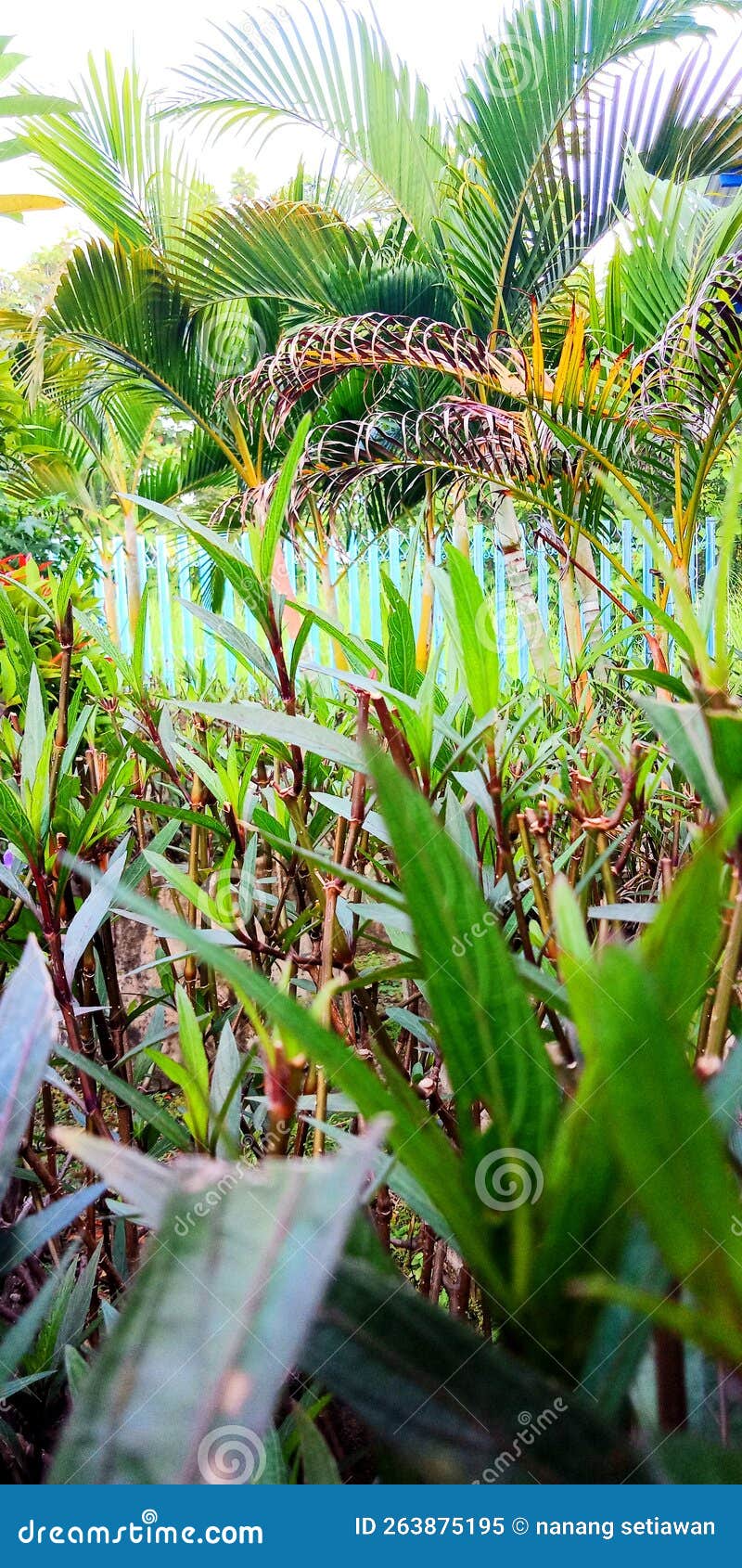 Garden Which is in Front of the Manufacturing Company Stock Image