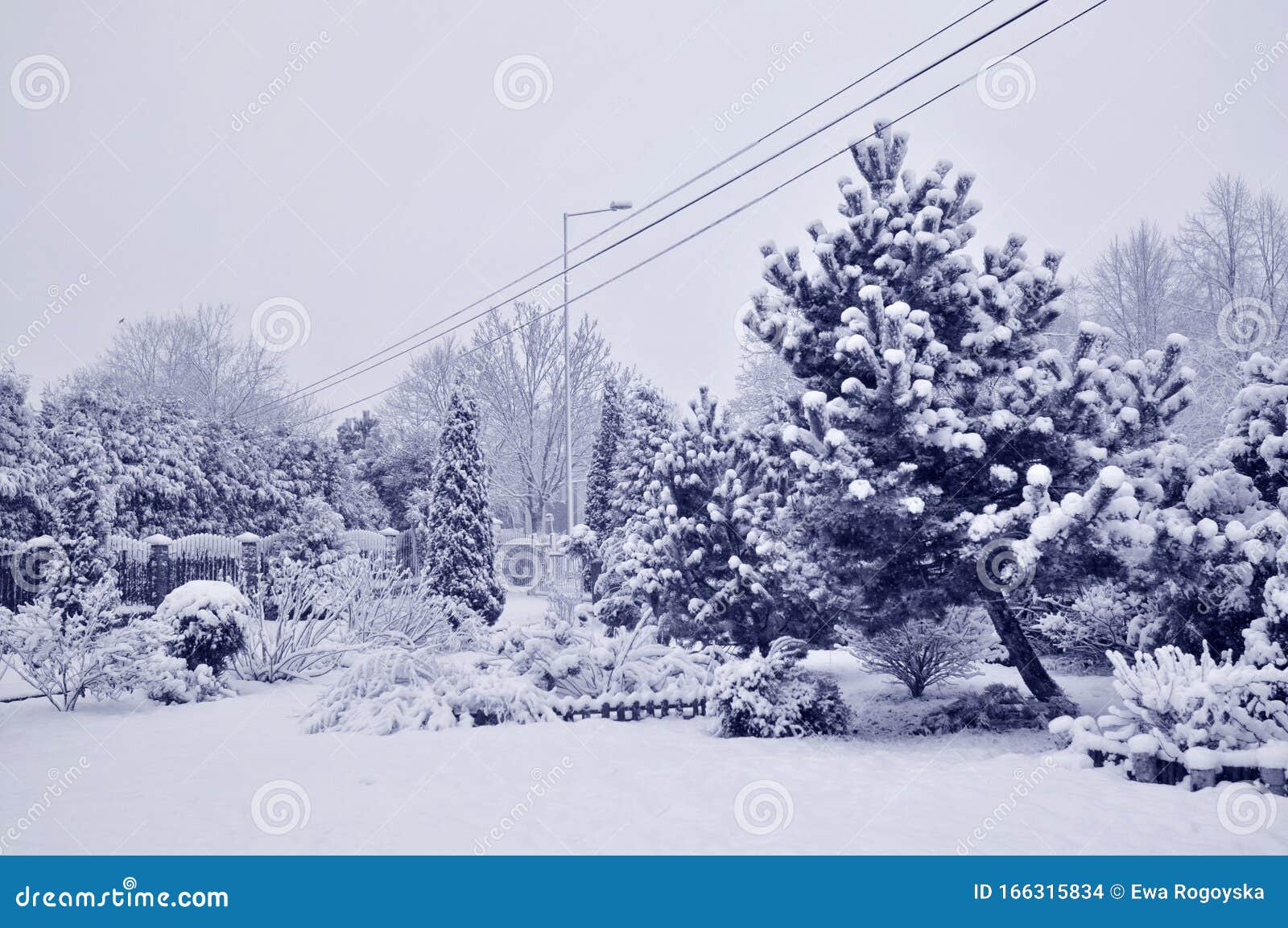 Winter Garden Stock Photo Image Of Garden Landscape 166315834