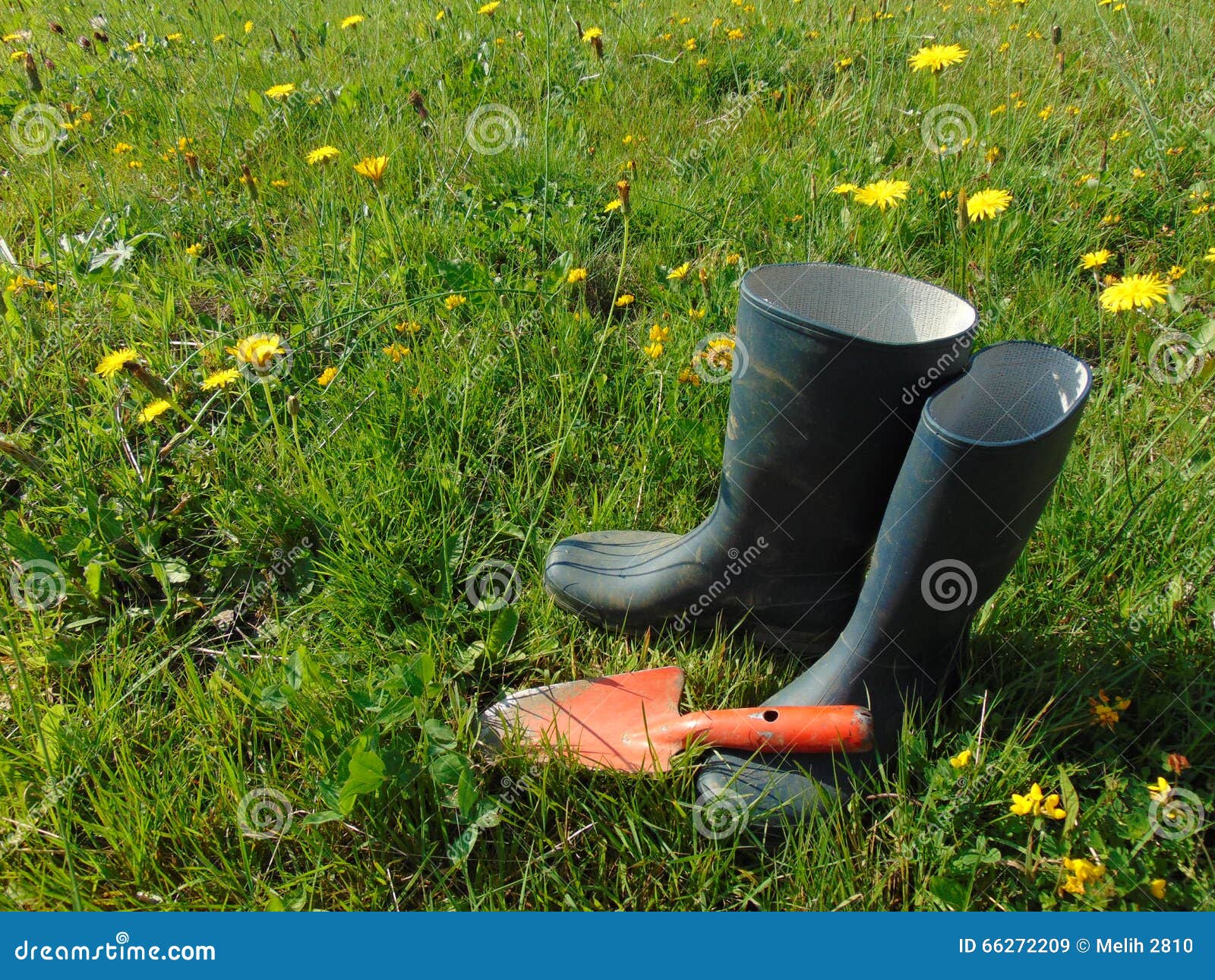 Garden Work / Rubber Boots in Grass Stock Image - Image of garden ...