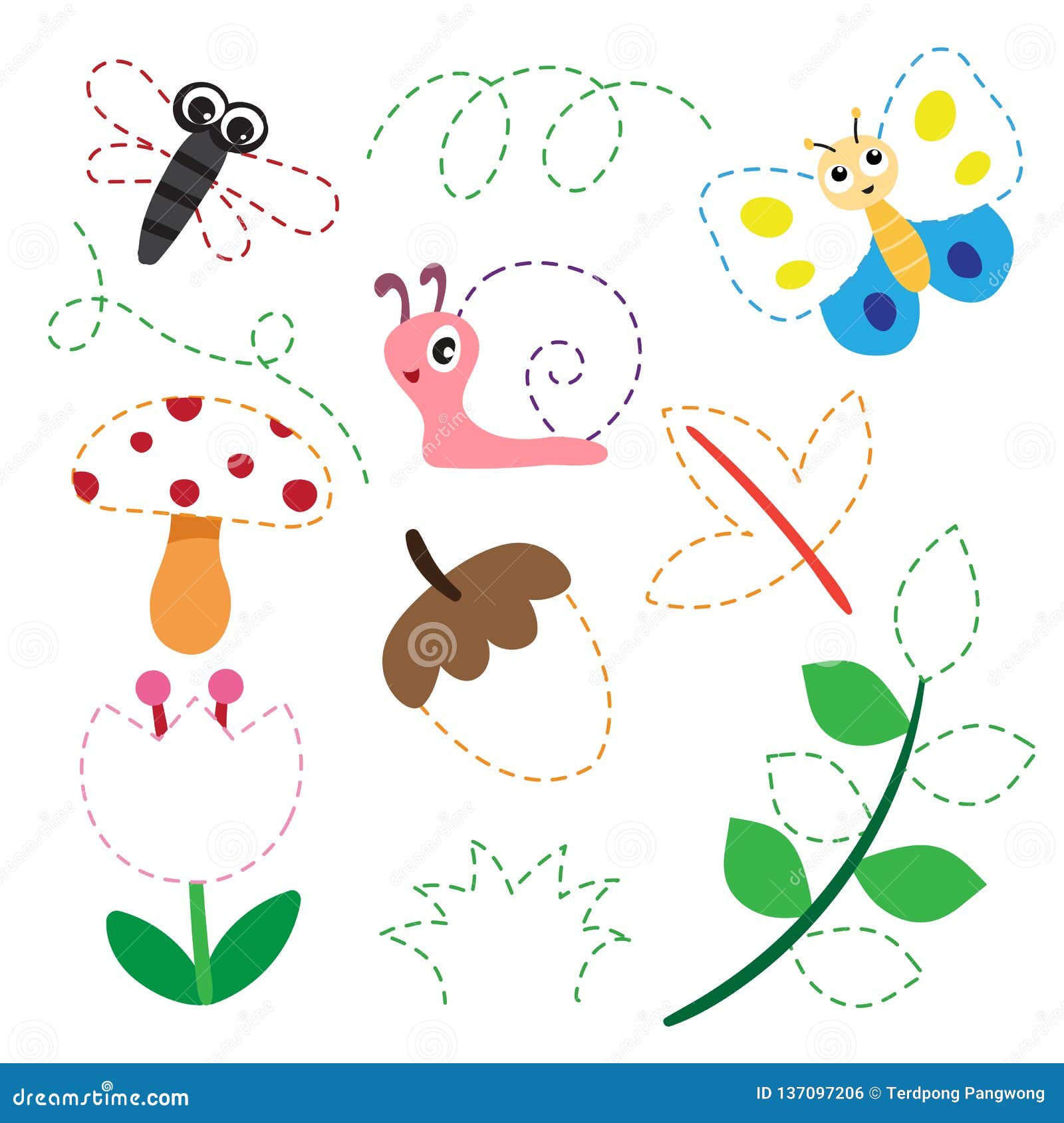 design-a-garden-worksheet