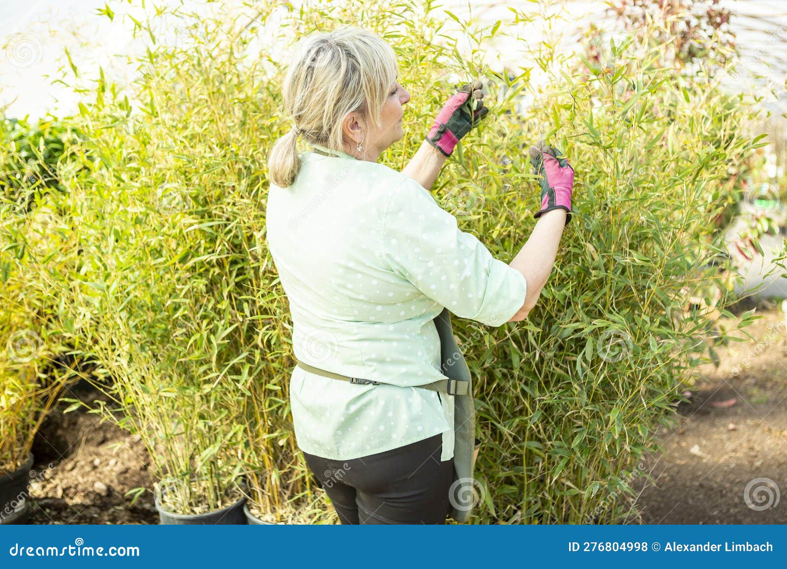 Gardener with bamboo stock photo. Image of spring, horticulture 276804998