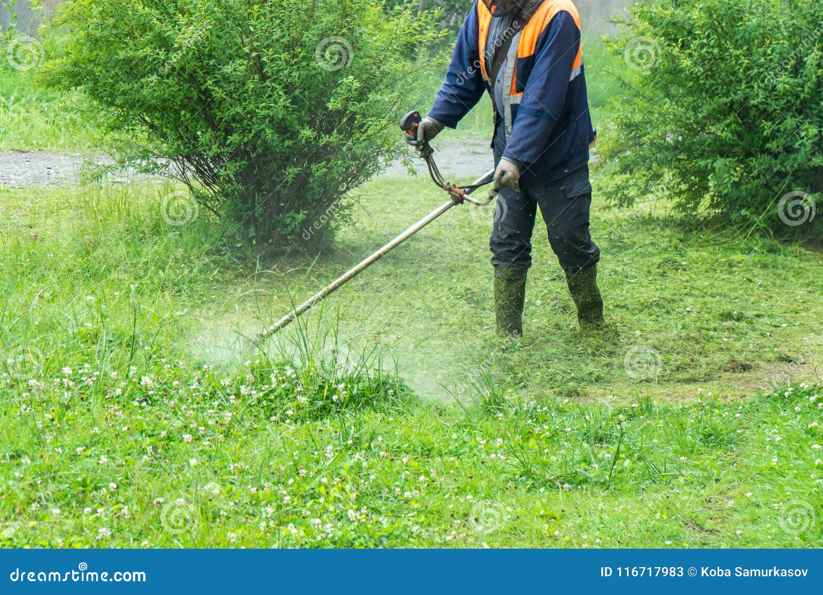 The Gardener Cutting Grass by Lawn Mower Stock Image - Image of garden ...