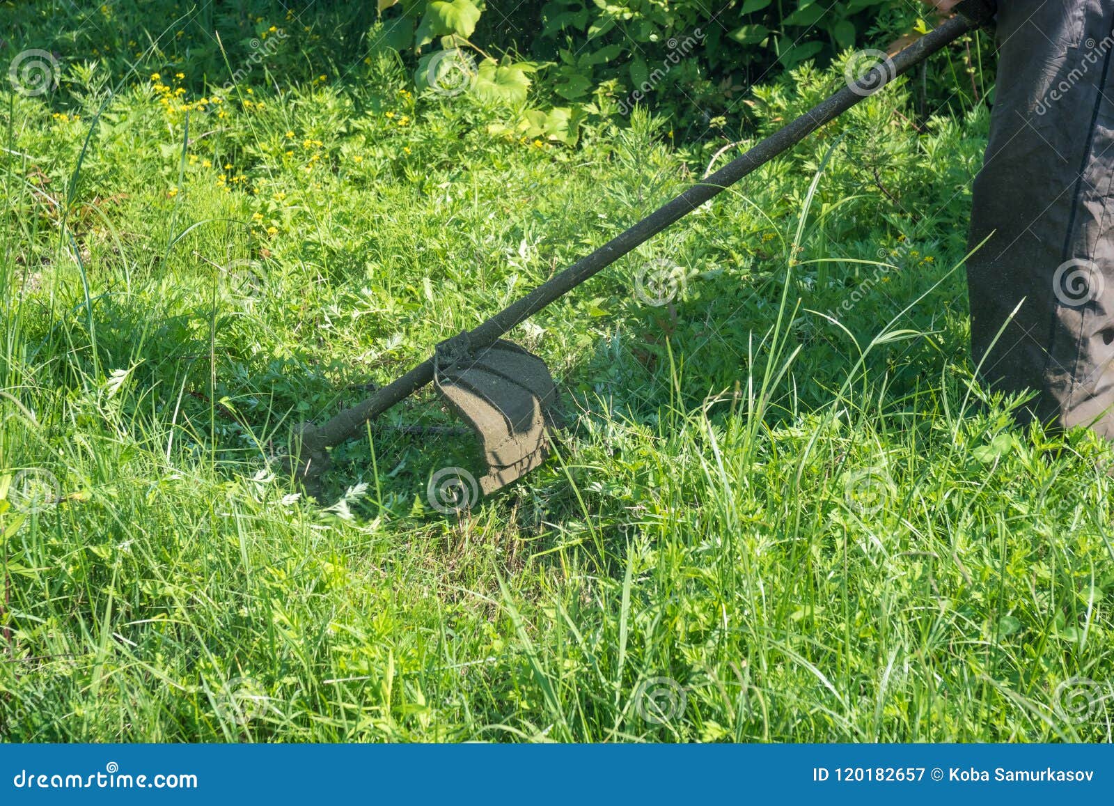 The Gardener Cutting Grass by Lawn Mower Stock Image Image of mowing
