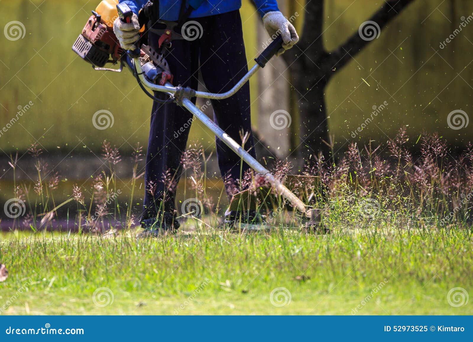 The Gardener Cutting Grass by Lawn Mower Stock Image - Image of fresh ...