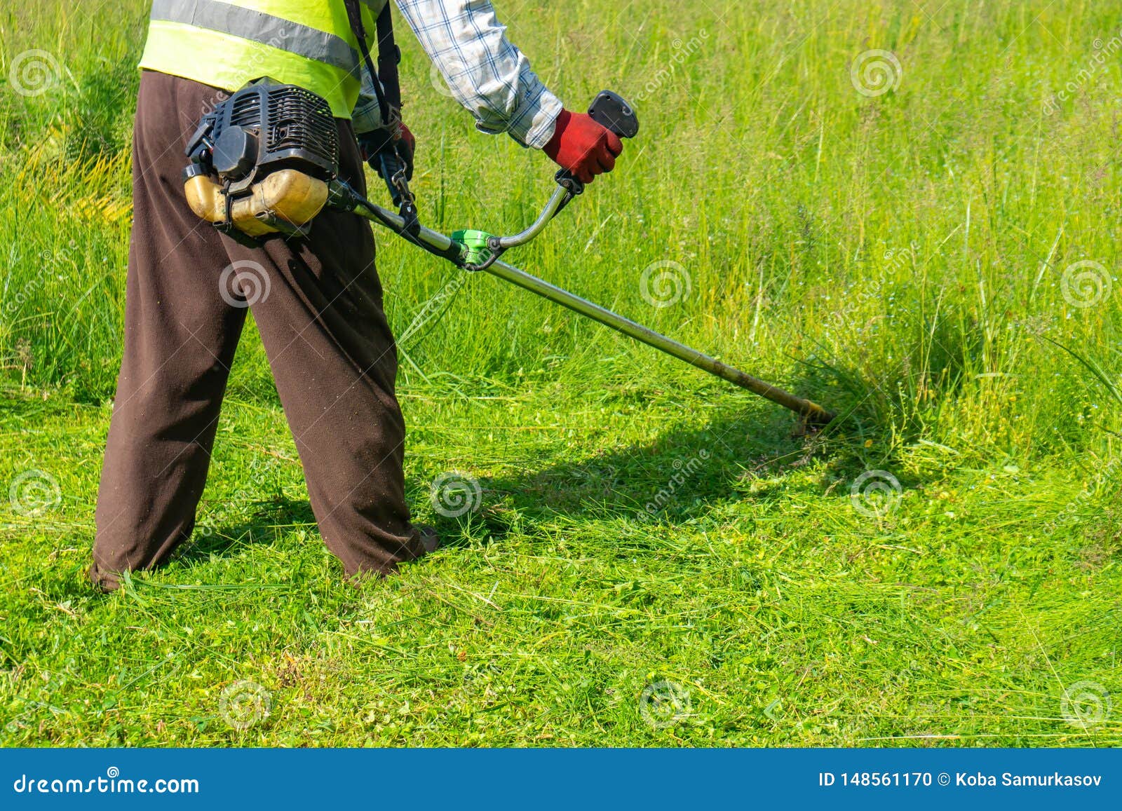 The Gardener Cutting Grass by Lawn Mower, Lawn Care Stock Photo - Image ...