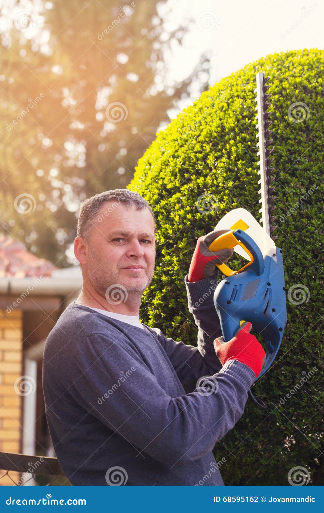 Gardener Cutting a Hedge with a Hedge Cutter Stock Photo Image of