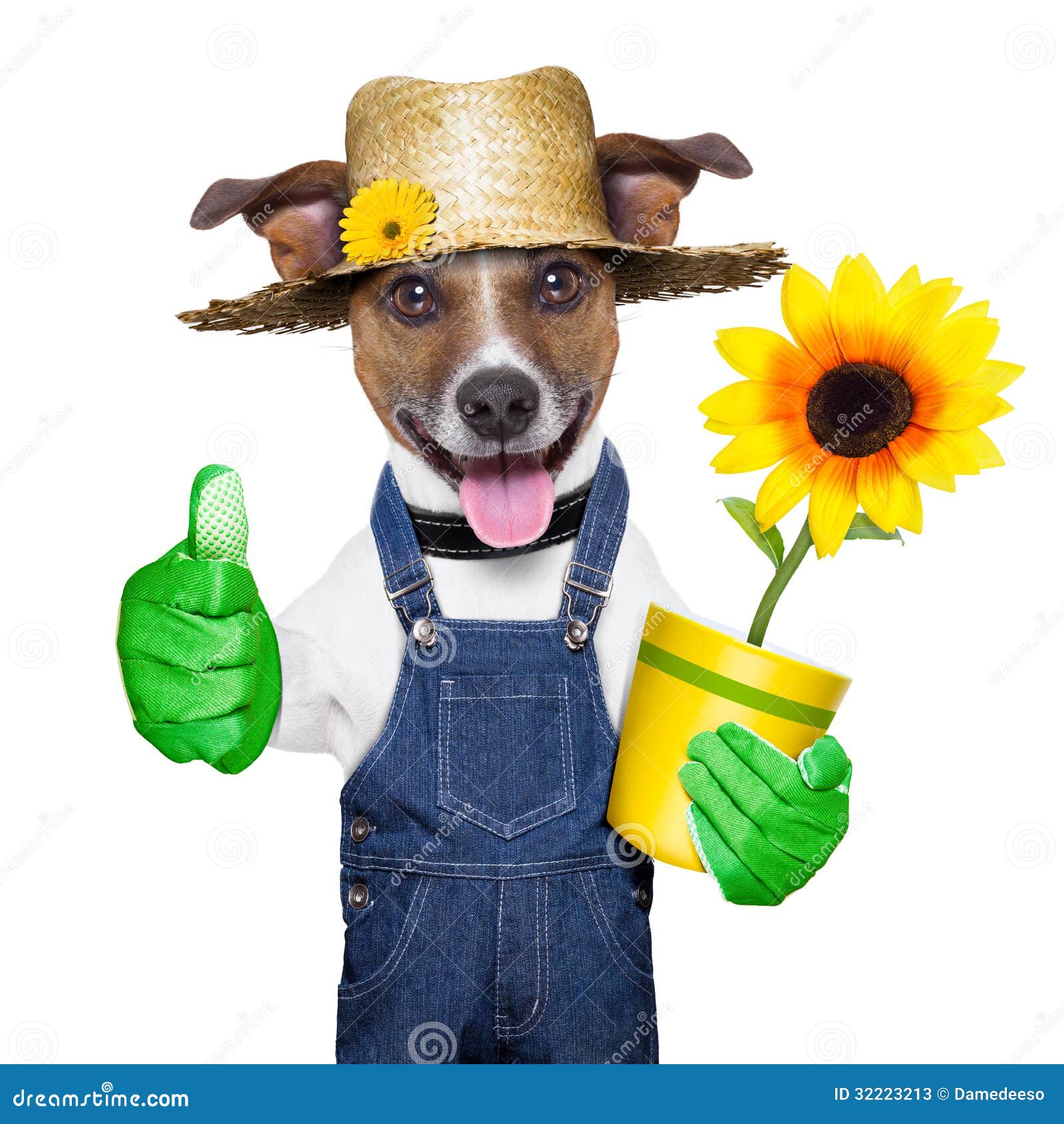 Black Dog Straw Hat Sunflower