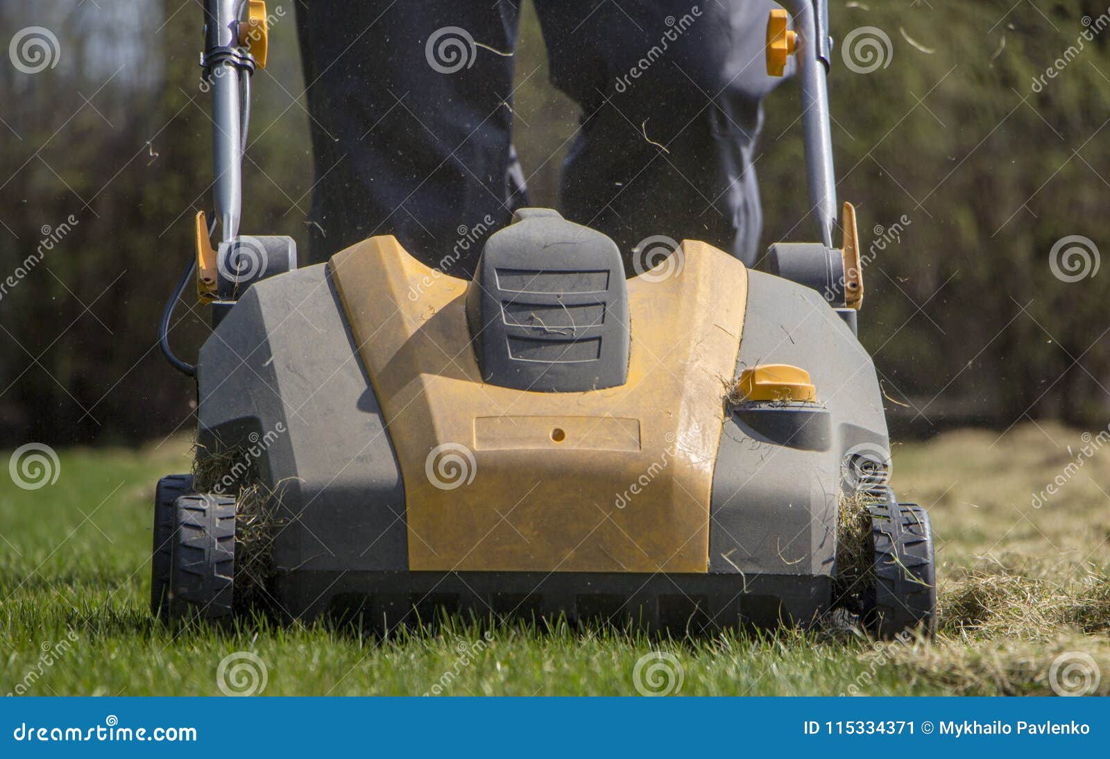Gardener Operating Soil Aeration Machine on Grass Lawn Stock Image