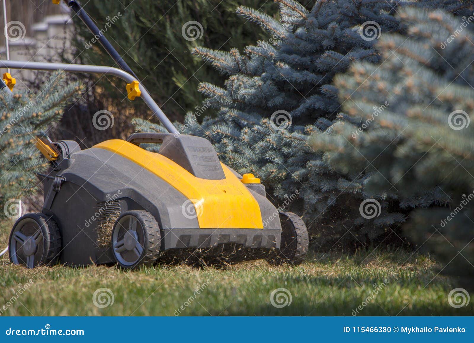 Gardener Operating Soil Aeration Machine on Grass Lawn Stock Photo