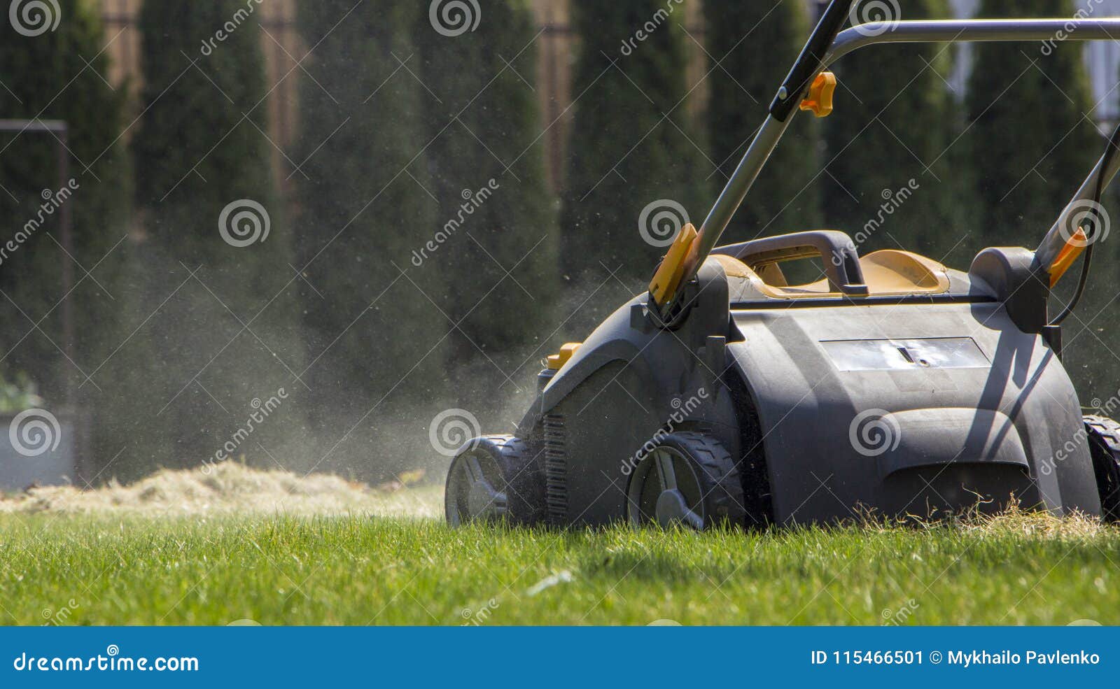 Gardener Operating Soil Aeration Machine on Grass Lawn Stock Image