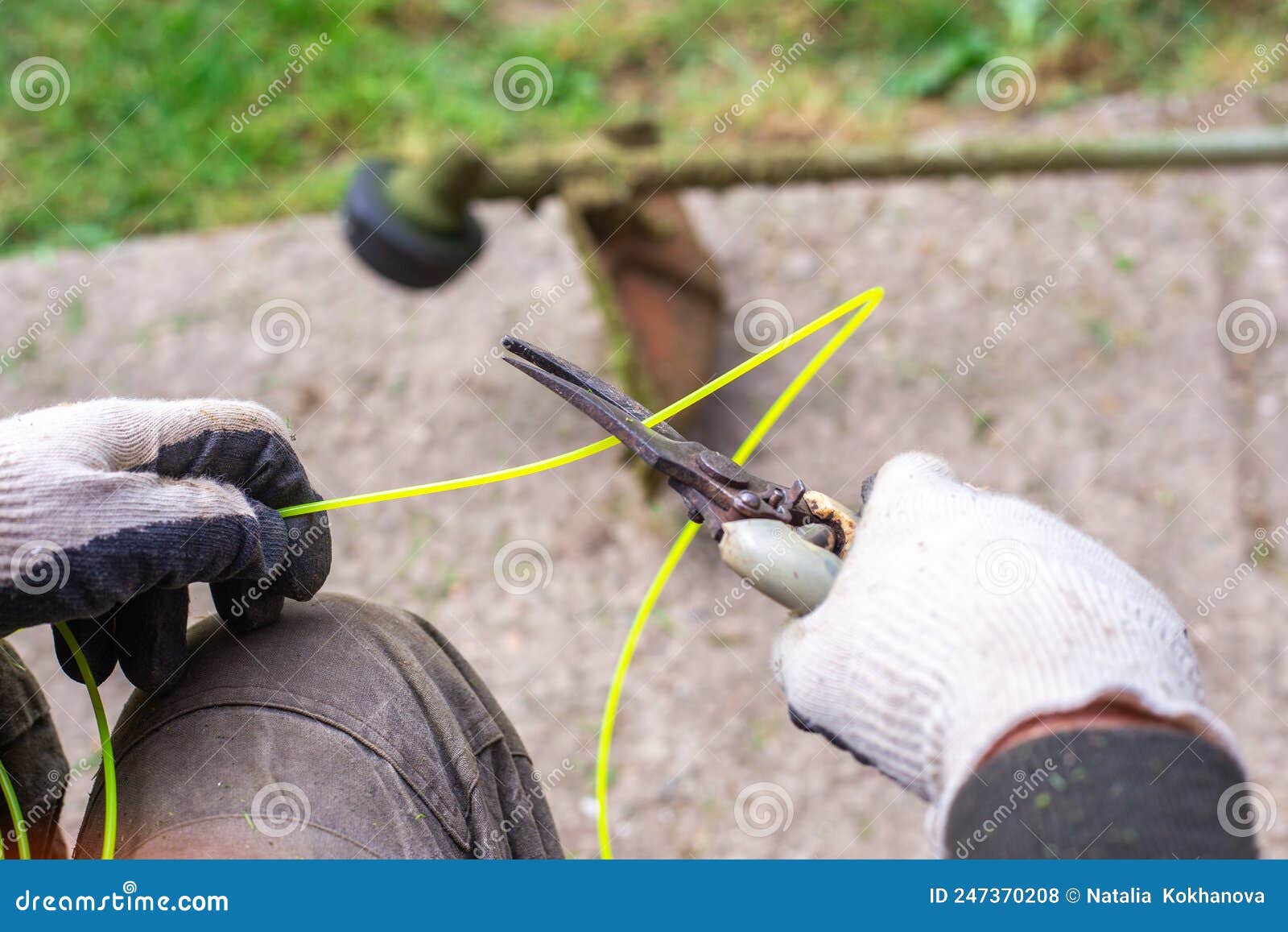 A Gardener with a Pruner Cuts a Piece of Fishing Line for a Gas Mower.  Spring Lawn Mowing, Lawn Care Stock Photo - Image of tool, trimmer:  247370208