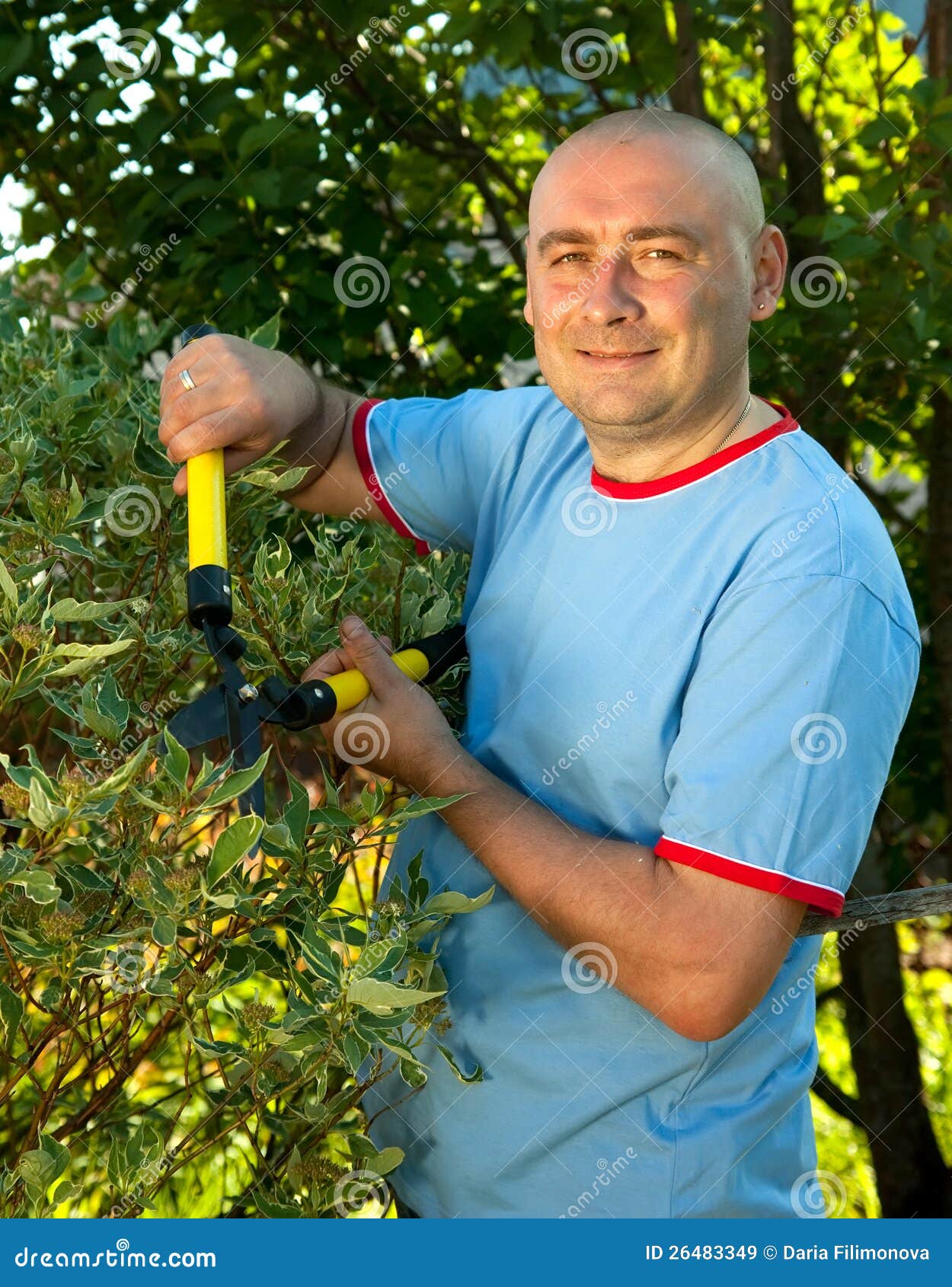 Gardener r near bush stock image. Image of people, active 26483349