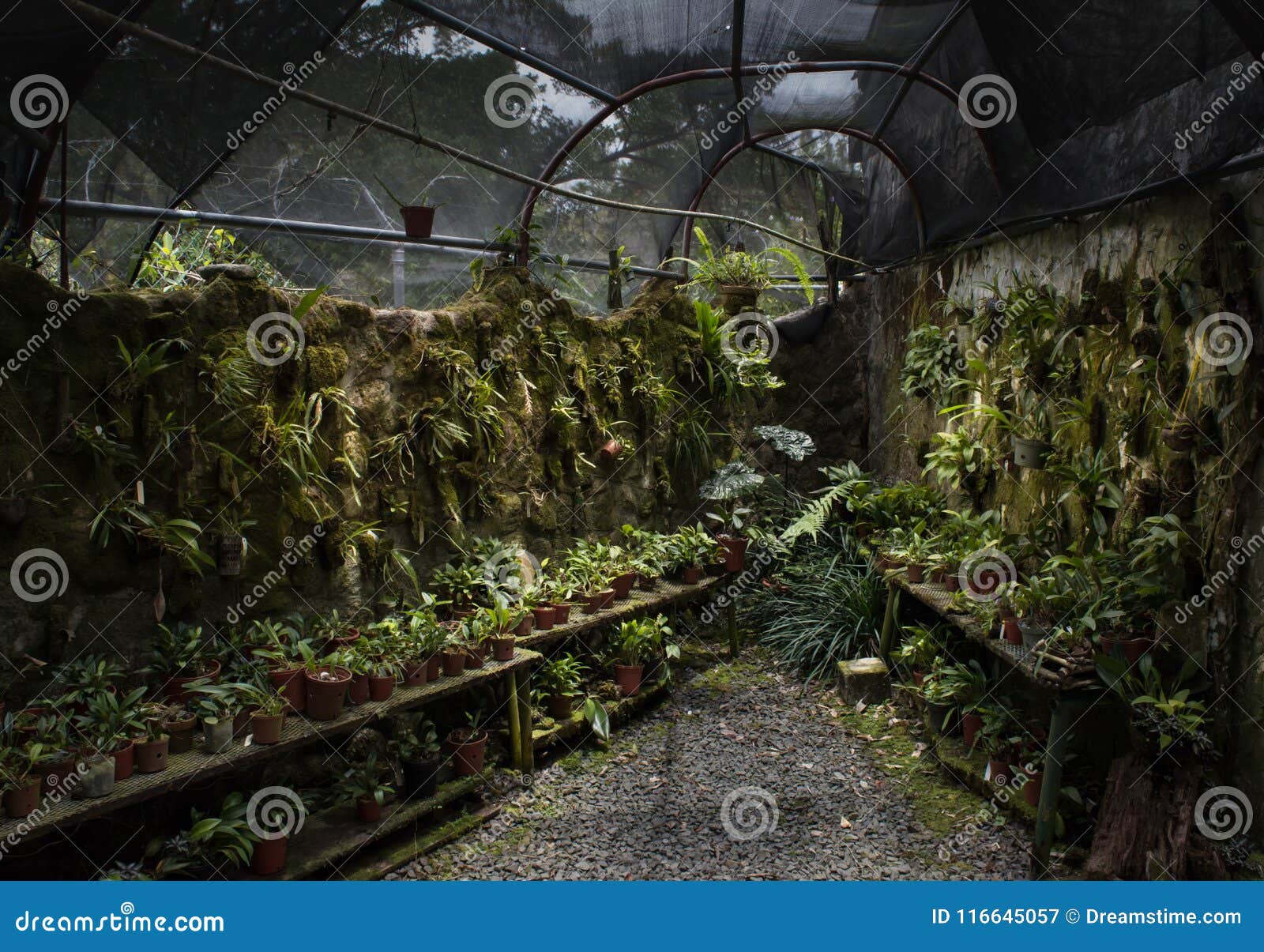 A Gardener S Stone Greenhouse Haven Stock Image Image Of Plant