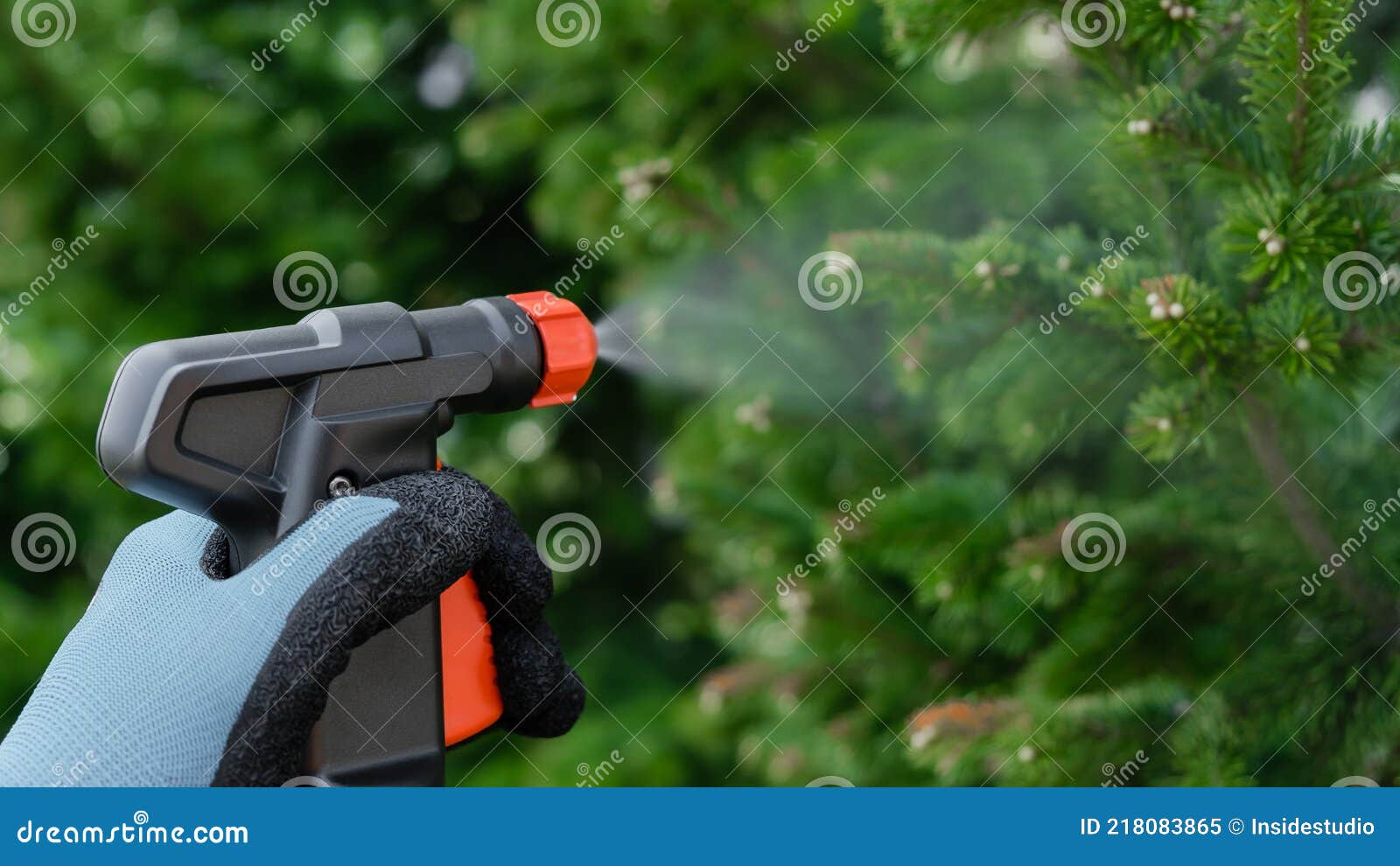 The Gardener Sprays the Tree from. Stock Image Image of liquid