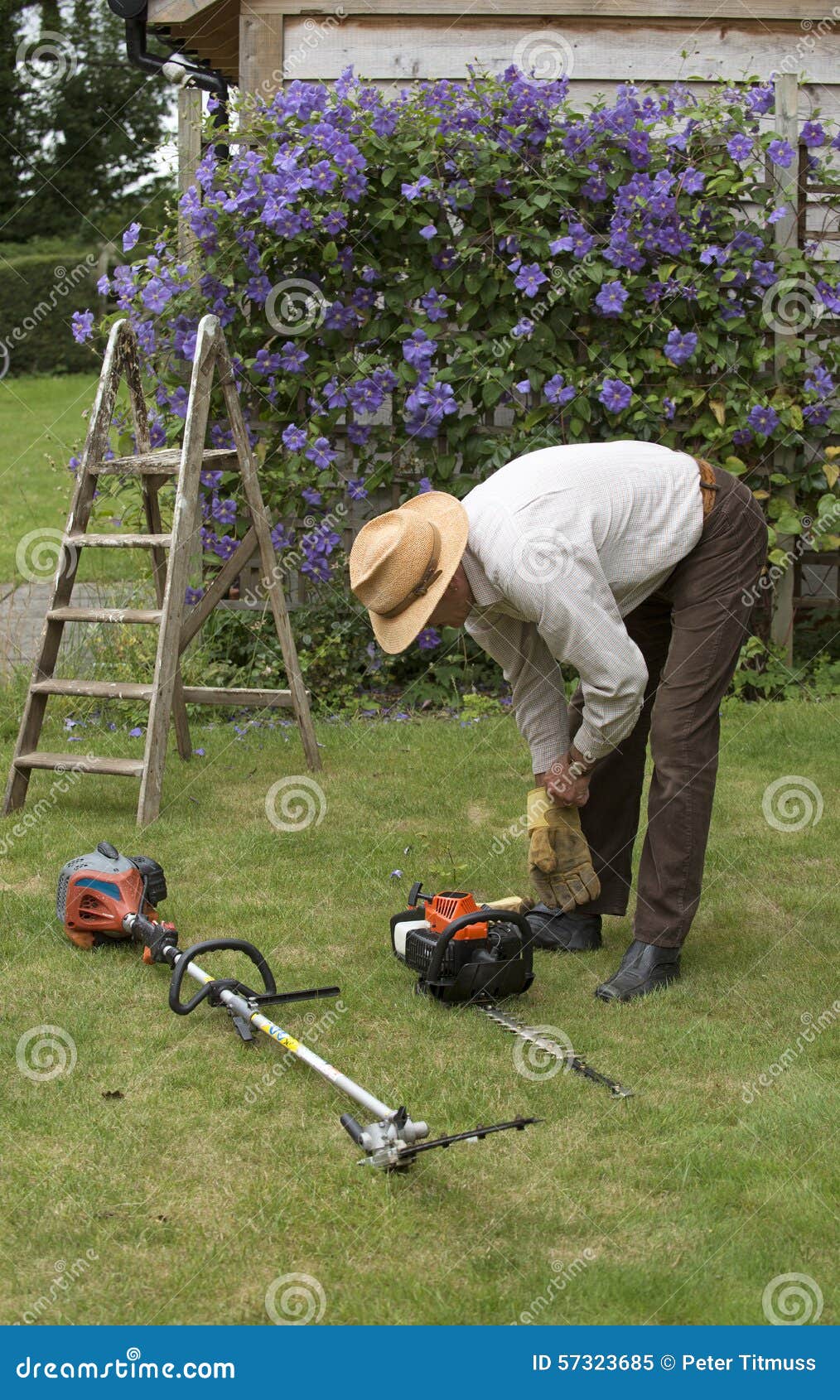 Gardener with Tools To Cut a Hedge Stock Image Image of activities