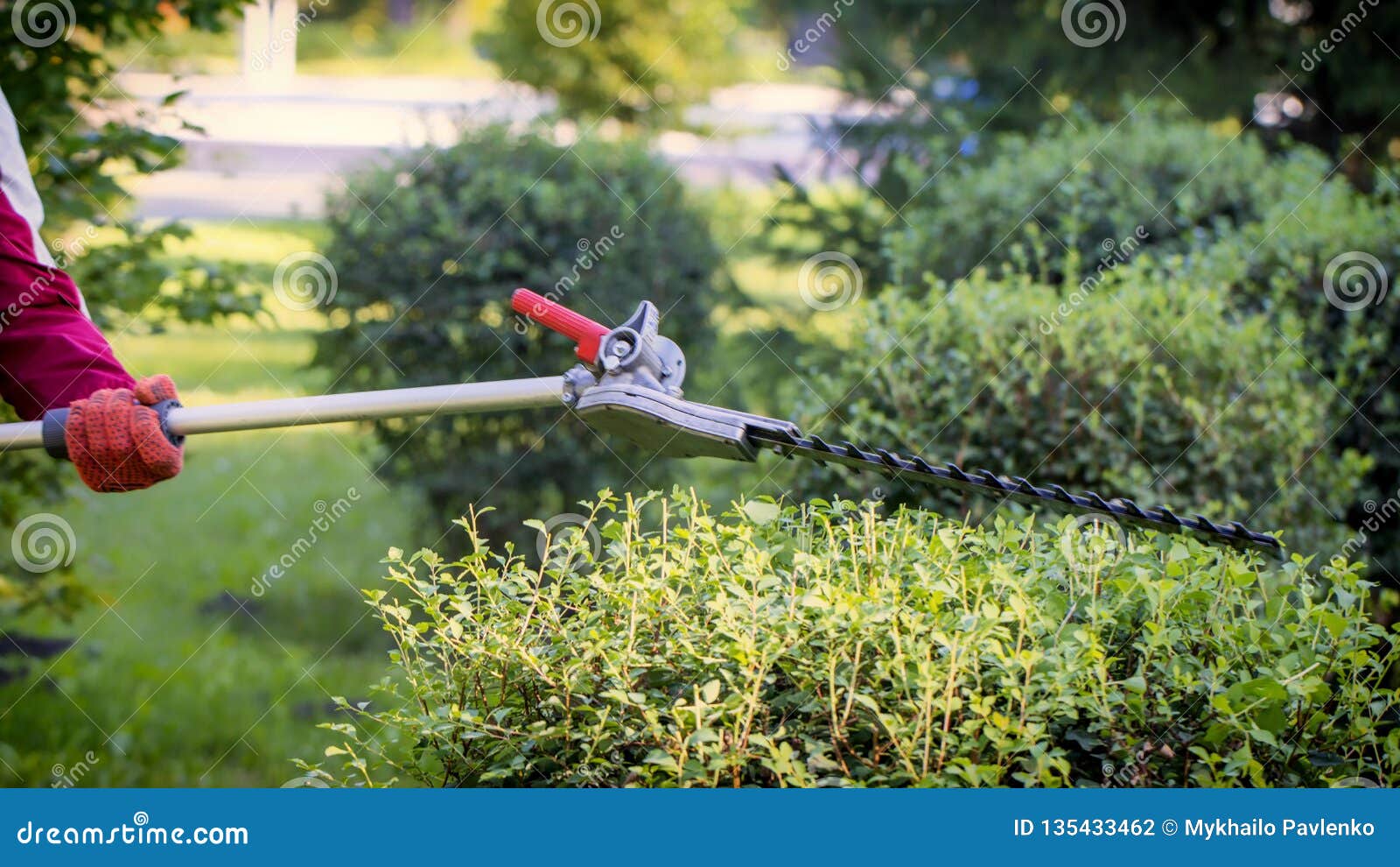 best bush trimmer 2021 best bush trimmer 2021