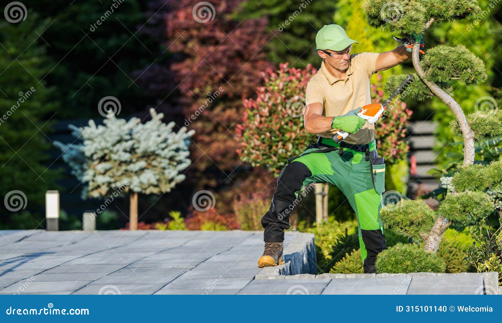 gardener trimming and shaping decorative plants