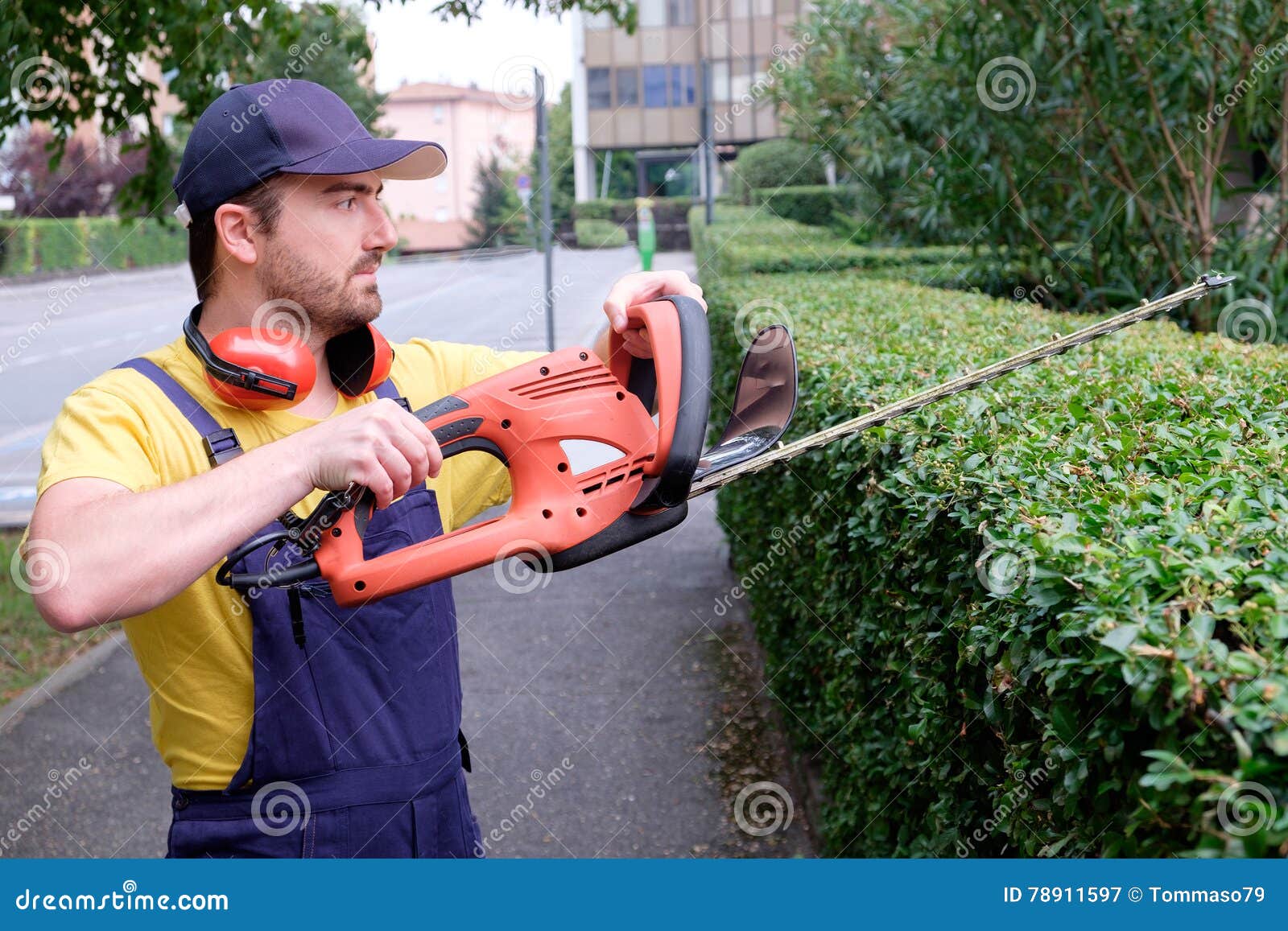 Gardener Using an Hedge Clipper Stock Image Image of machine, care
