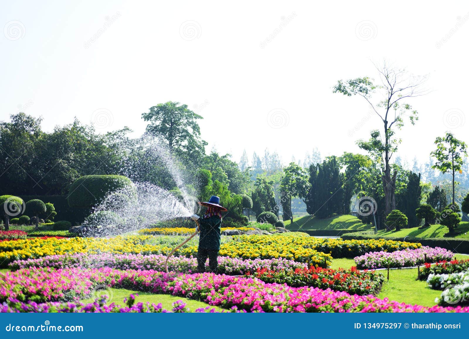 the gardener is watering the flowers at the park at long 9 park