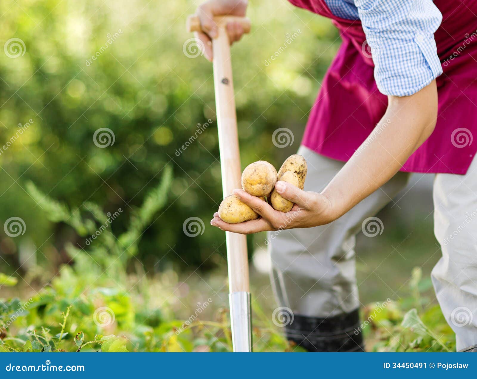 Young male gardener working in the garden