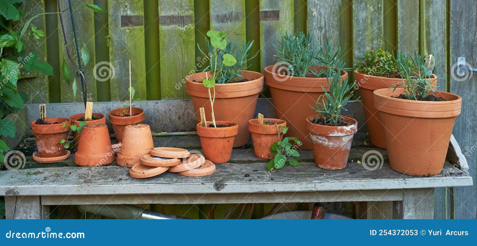 Gardeners Corner. Stacks of Flower Pots in a Gardeners Corner. Stock